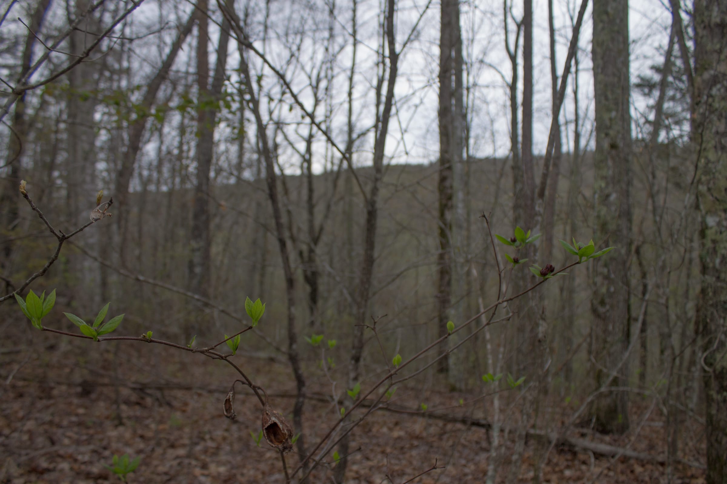 Hidden Hills Tract 22 photo 21