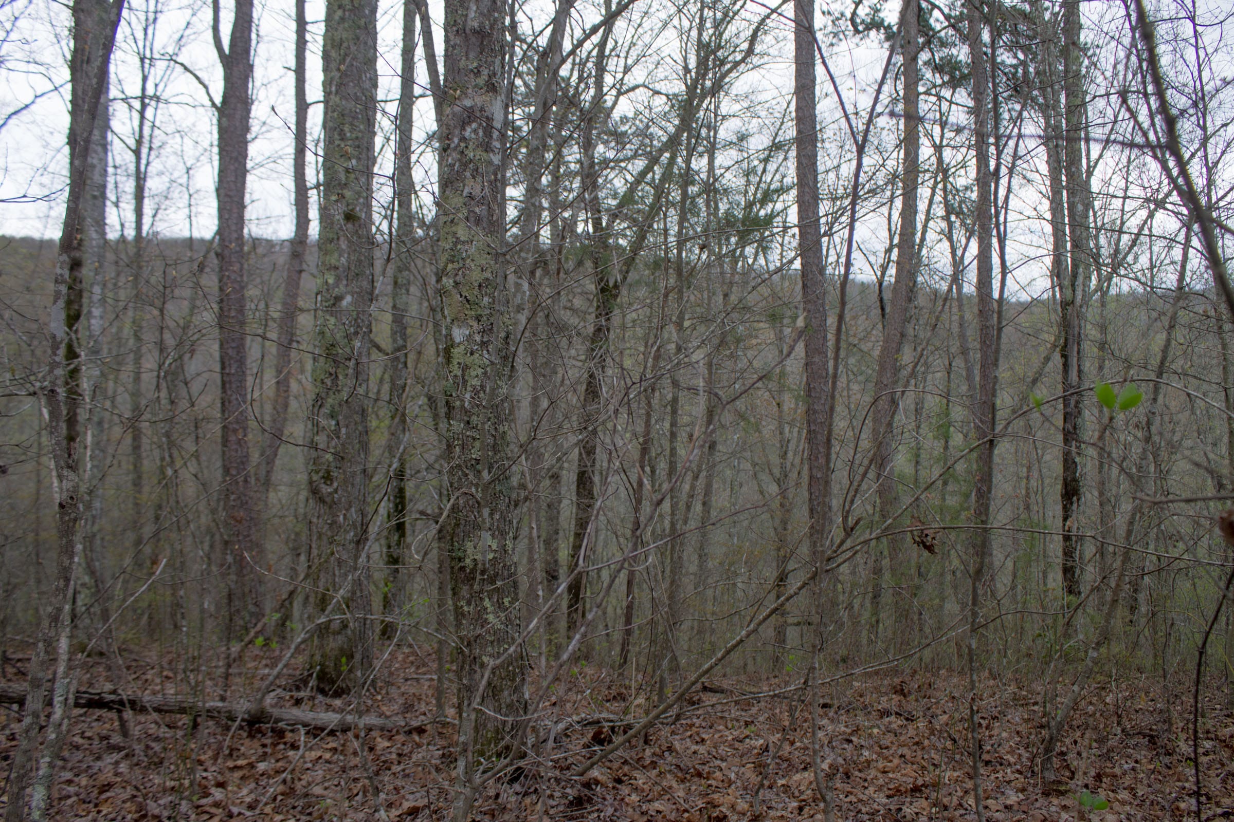Hidden Hills Tract 22 photo 22