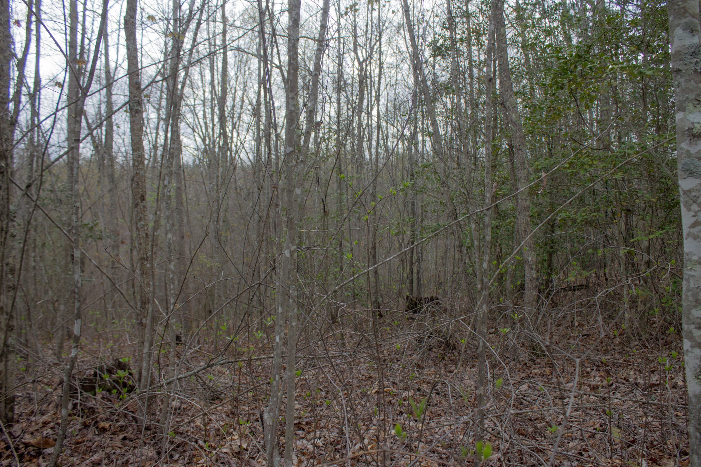 Hidden Hills Tract 22 photo 23