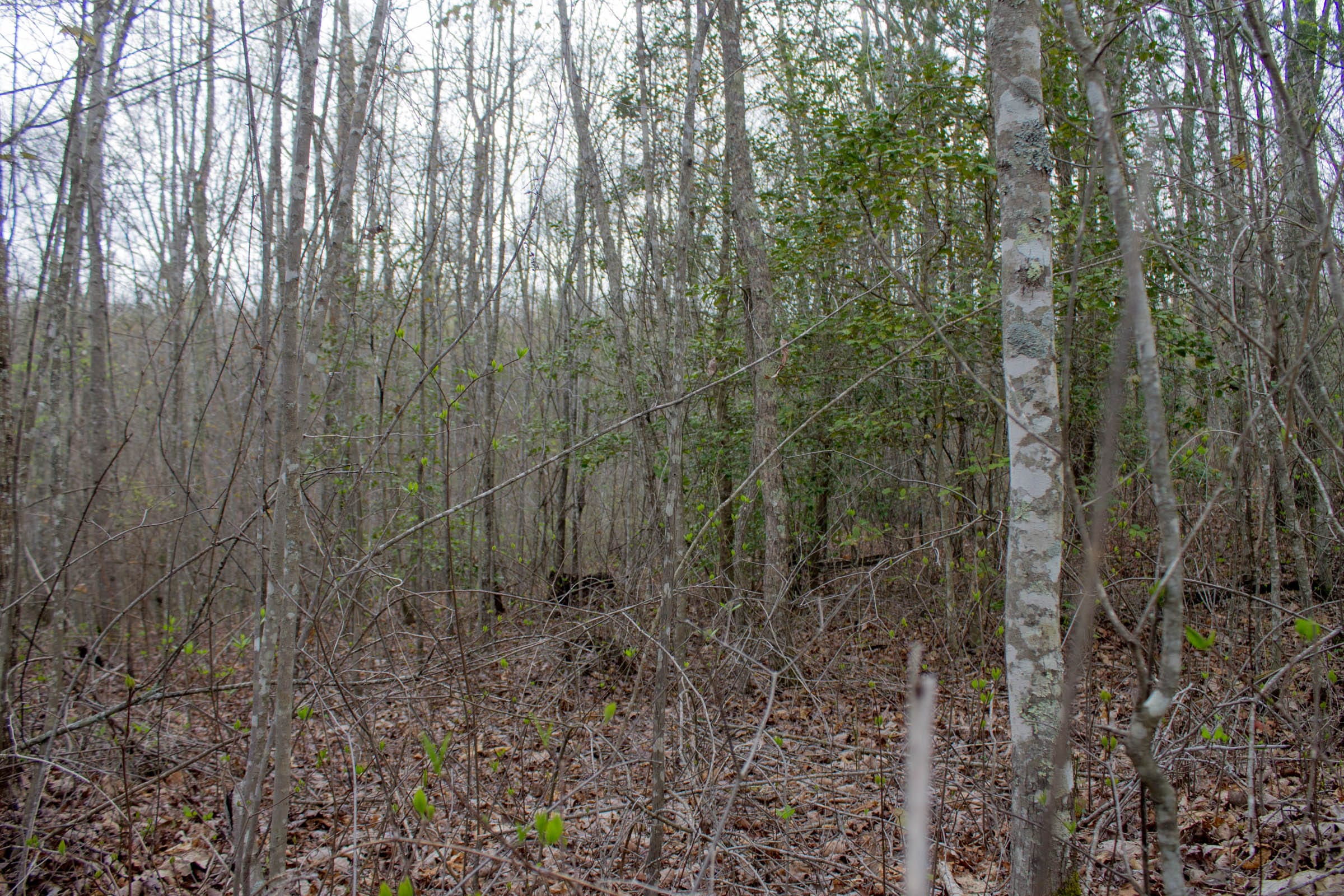 Hidden Hills Tract 22 photo 24