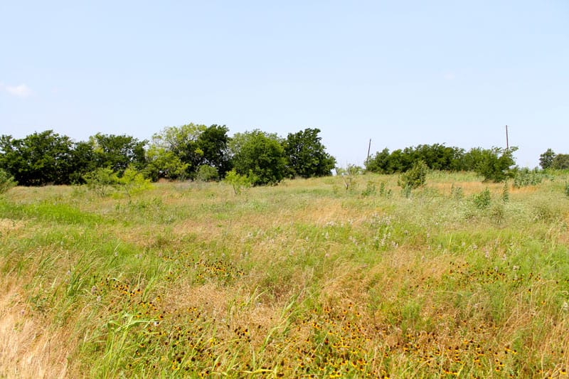 Meadowview Estates Tract 1 photo 1