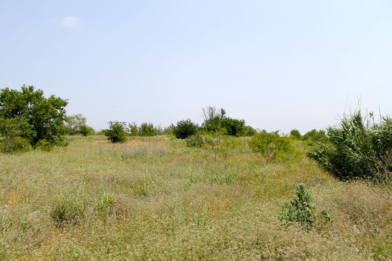 Meadowview Estates Tract 1 photo 4