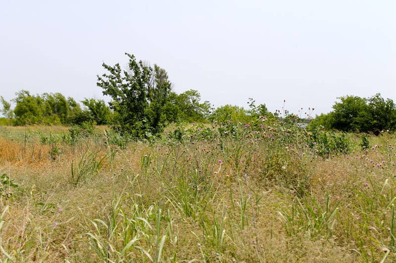 Meadowview Estates Tract 1 photo 5