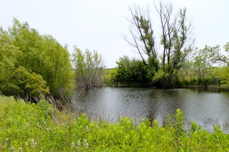 Meadowview Estates Tract 1 photo 9