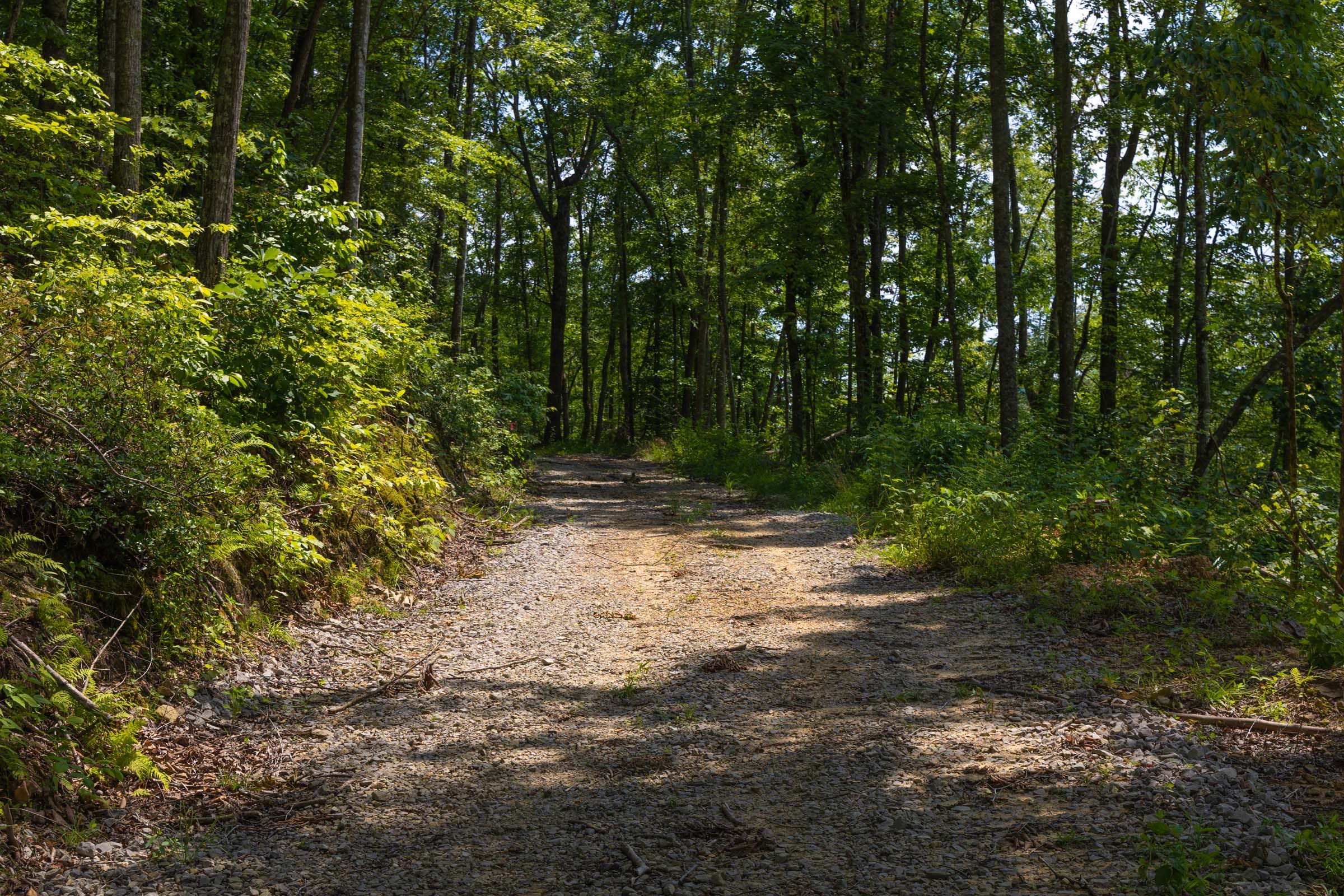 Creek Hollow Phase II Tract 69 photo 6