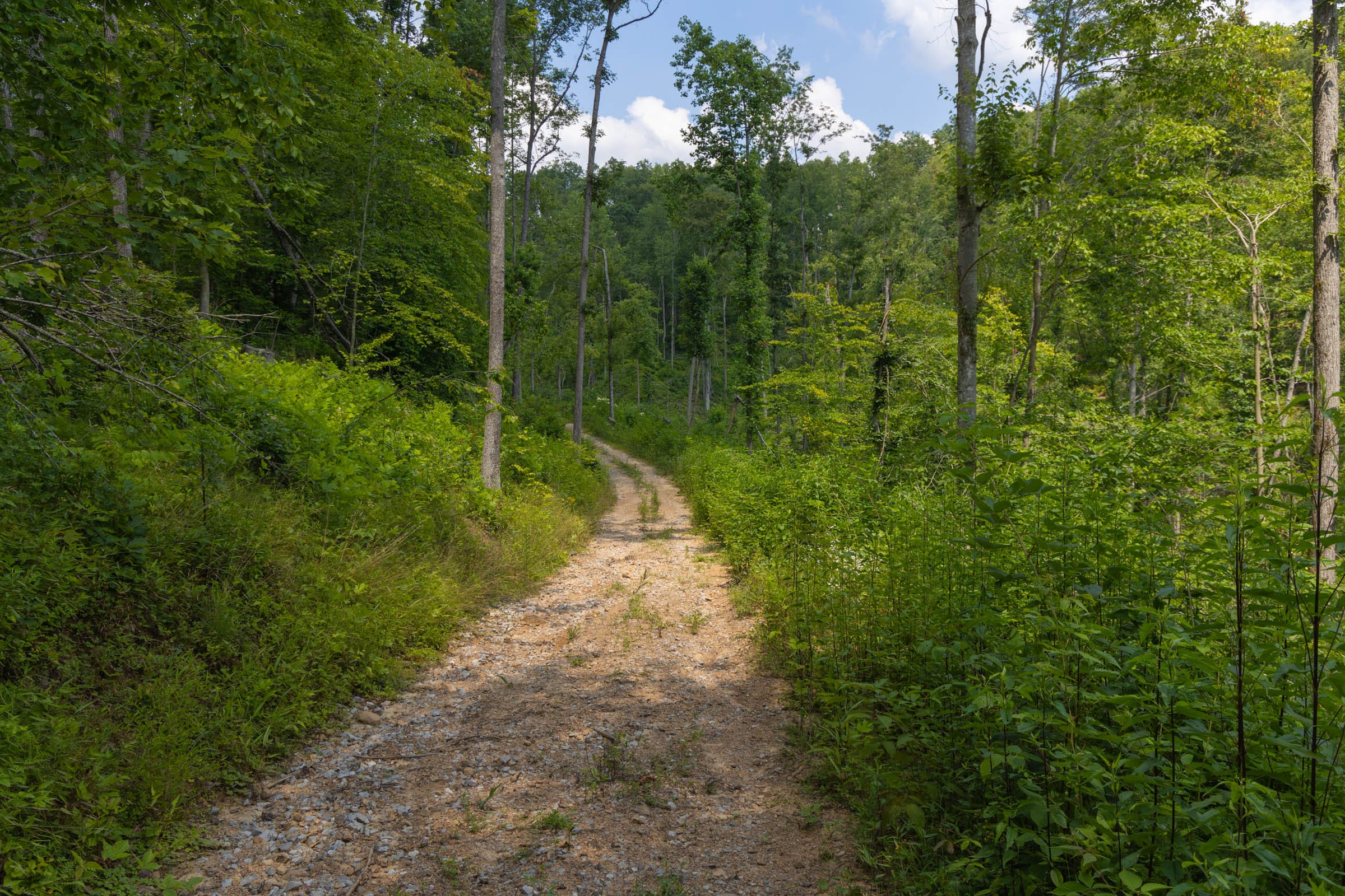 Creek Hollow Phase II Tract 69 photo 1