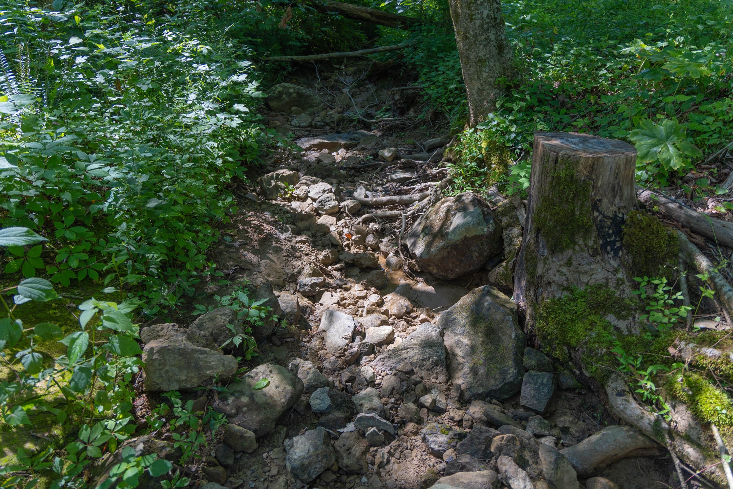 Creek Hollow Phase II Tract 69 photo 2