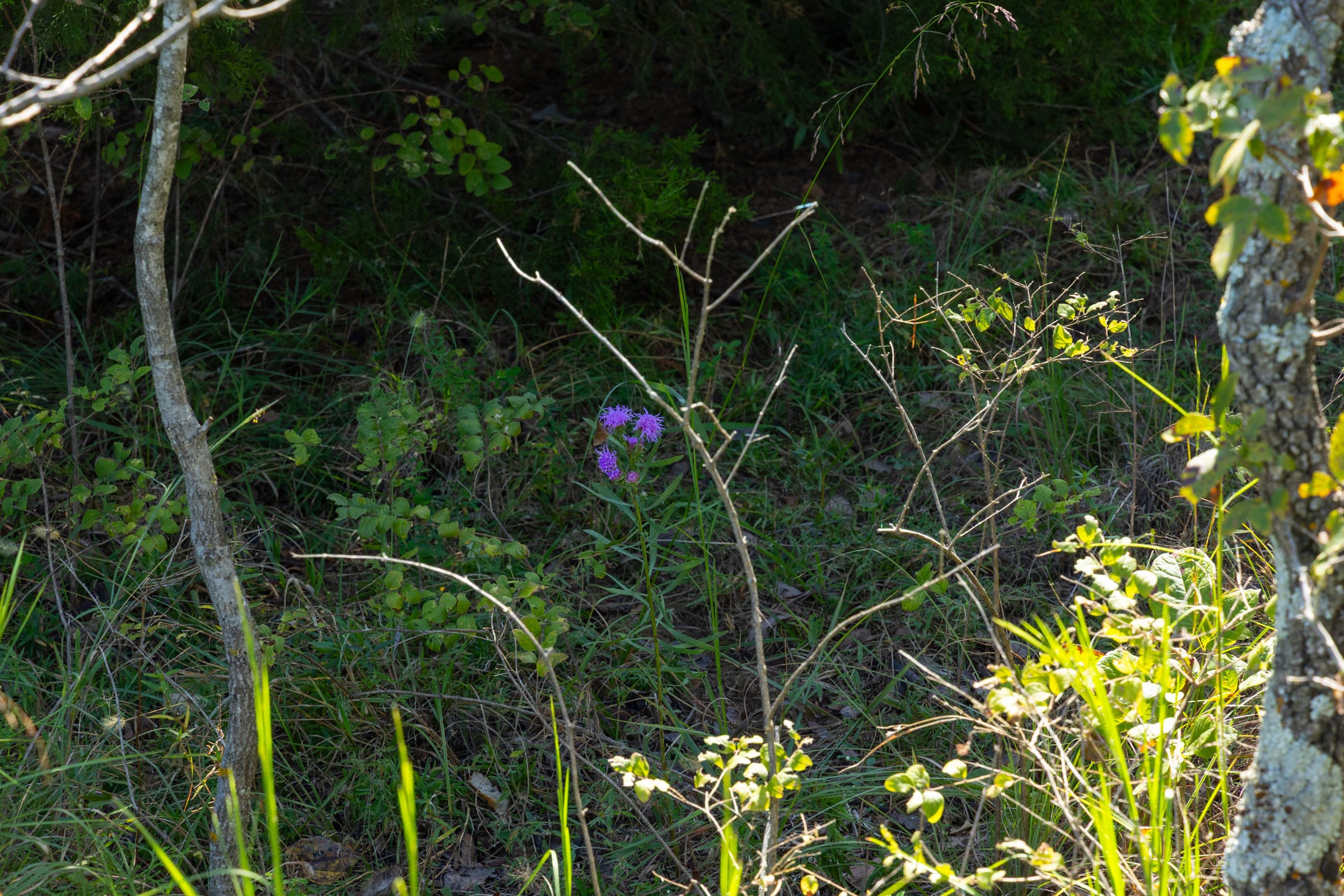 Reserves At Cattail Cove Phase II Tract 60 photo 10