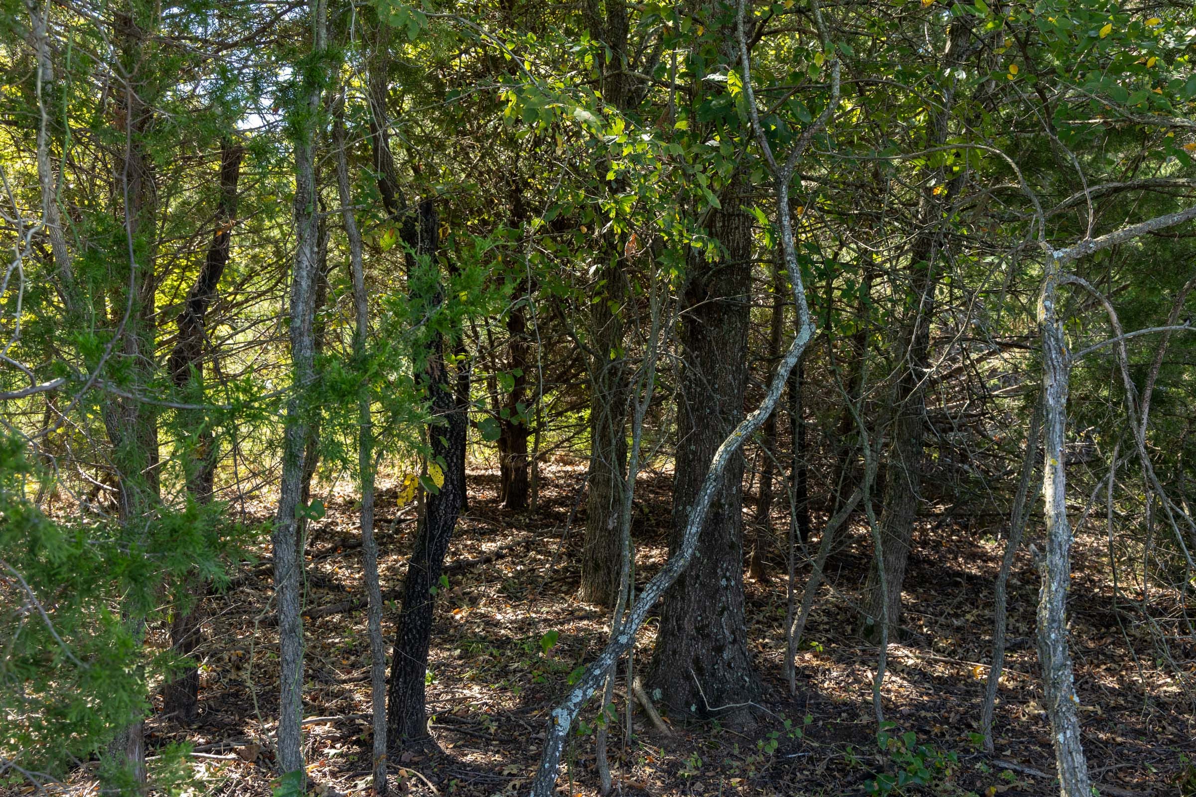Reserves At Cattail Cove Phase II Tract 60 photo 8