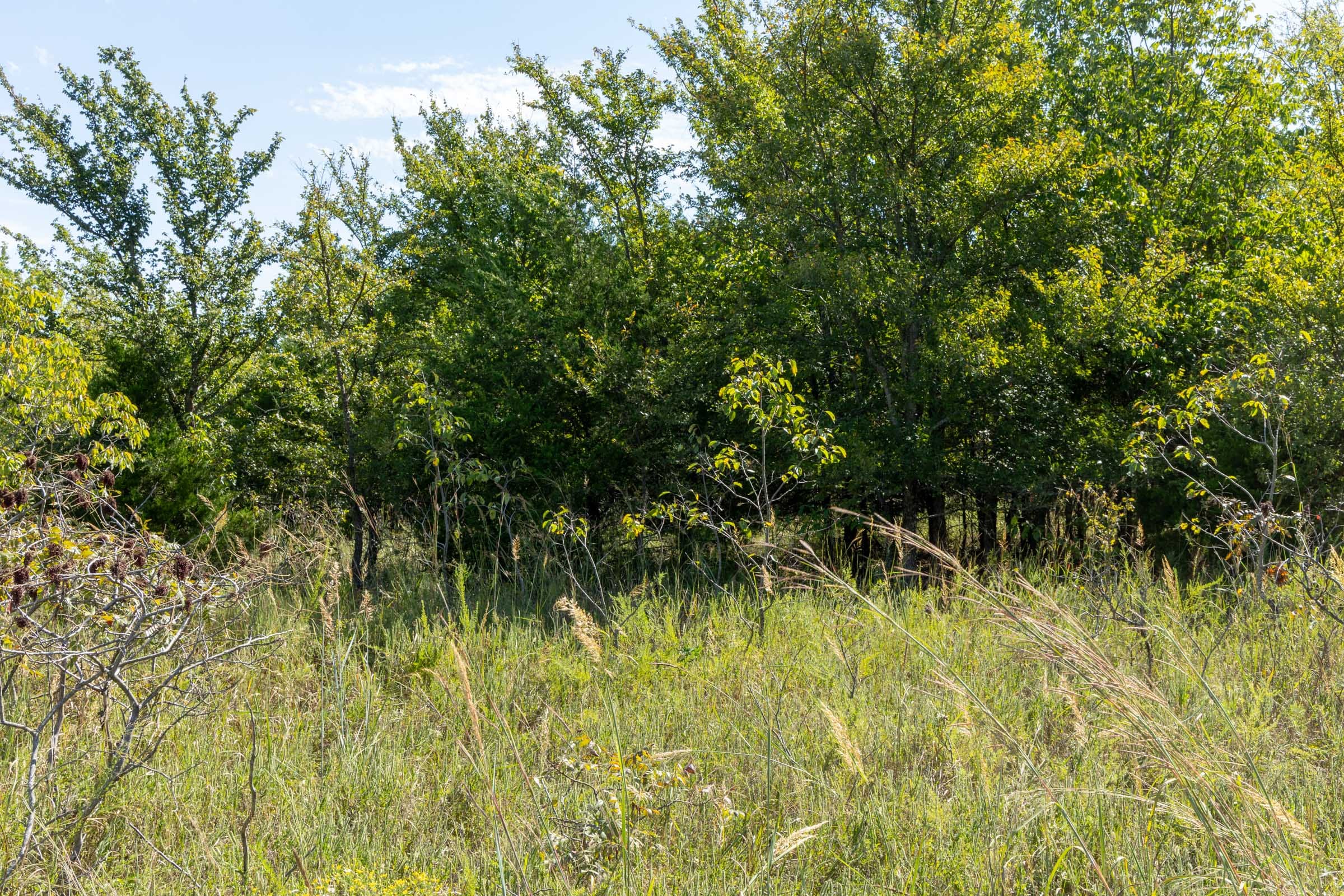Reserves At Cattail Cove Phase II Tract 60 photo 5
