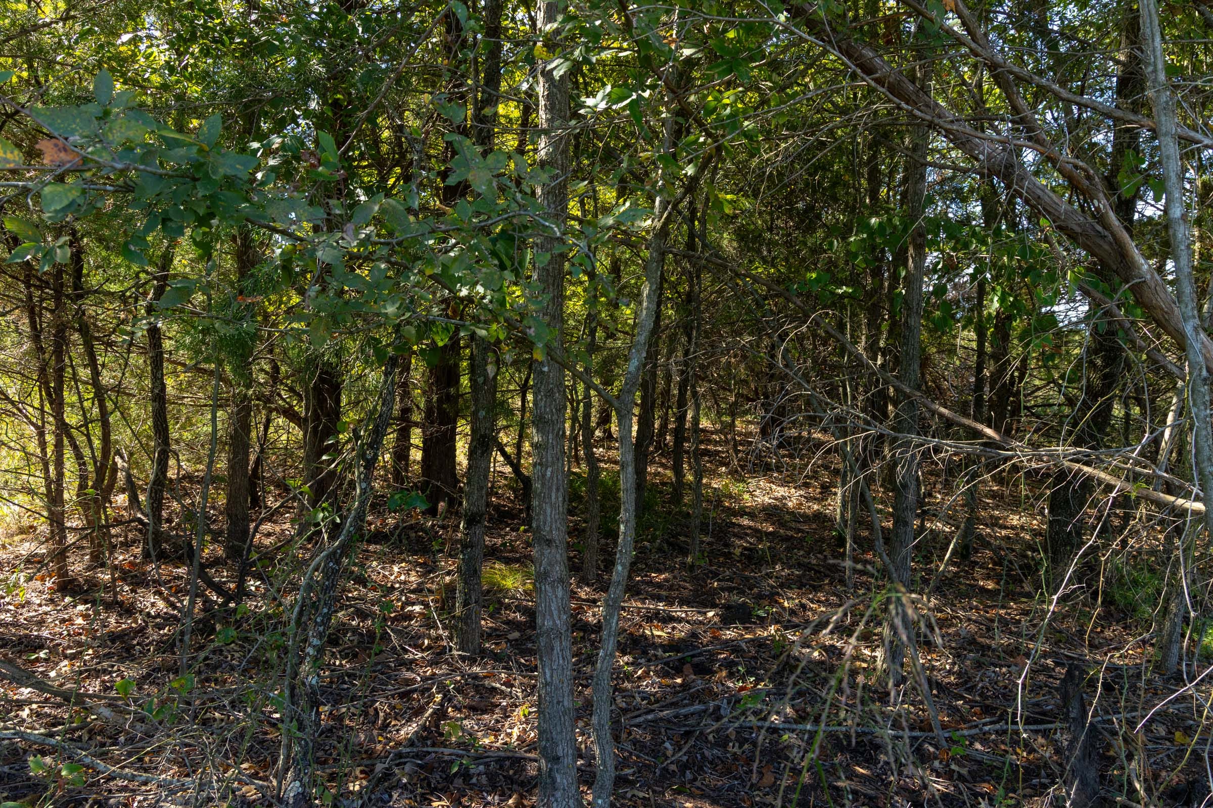 Reserves At Cattail Cove Phase II Tract 60 photo 7