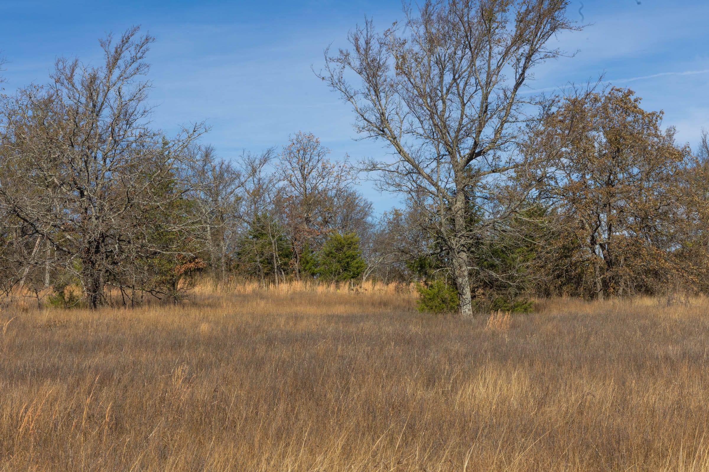 Harmony Hills Tract 36 photo 7