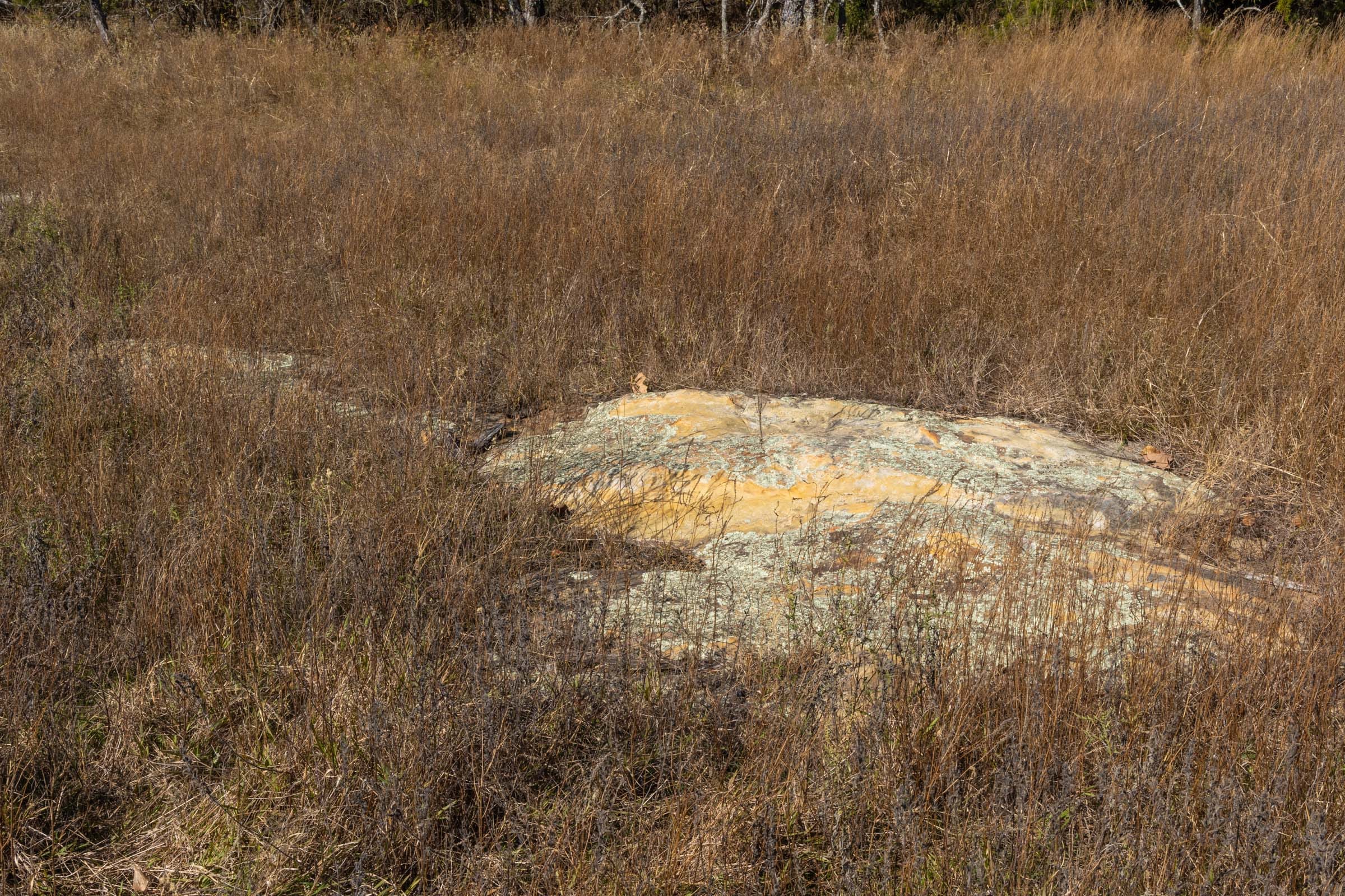 Harmony Hills Tract 36 photo 11