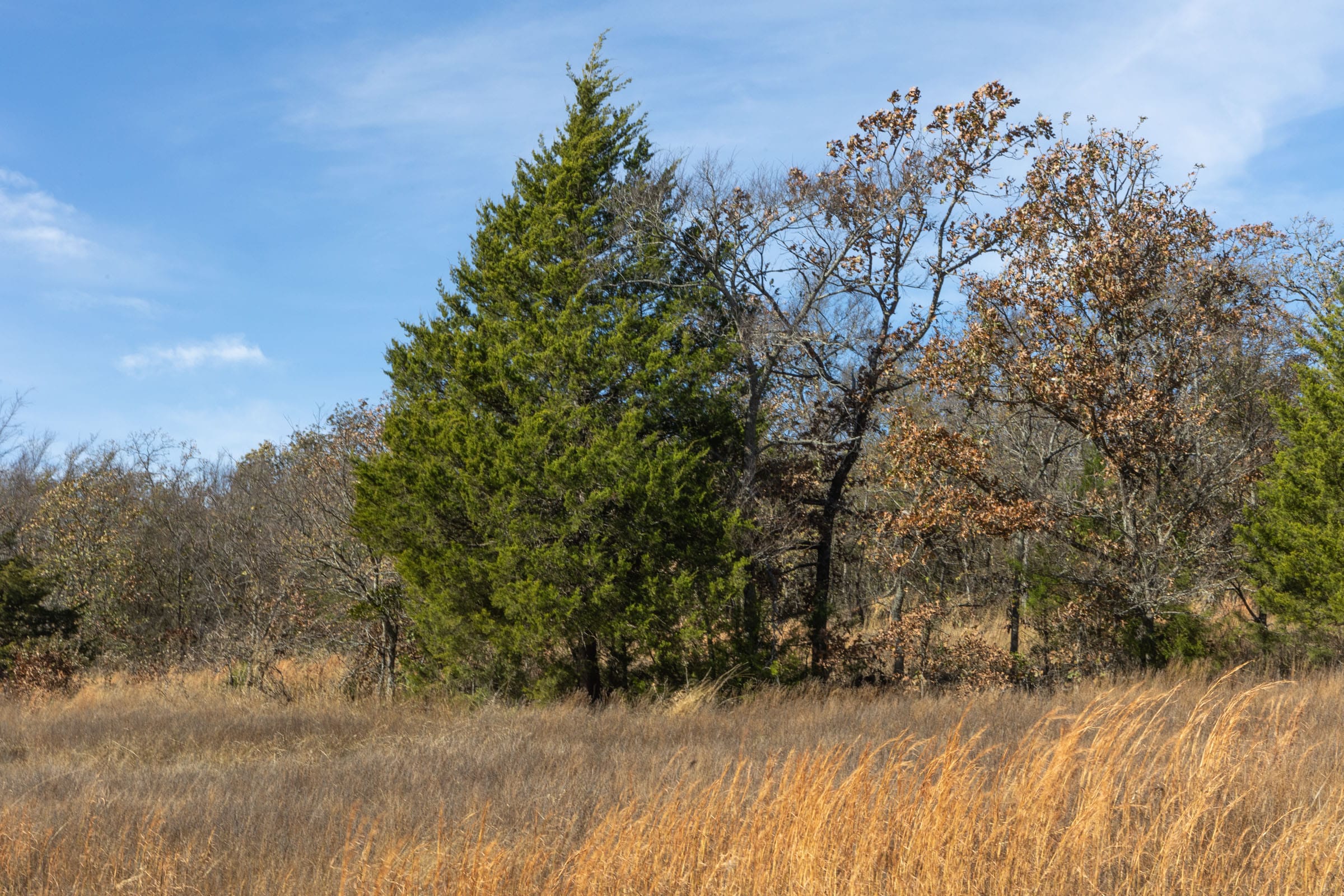 Harmony Hills Tract 36 photo 4