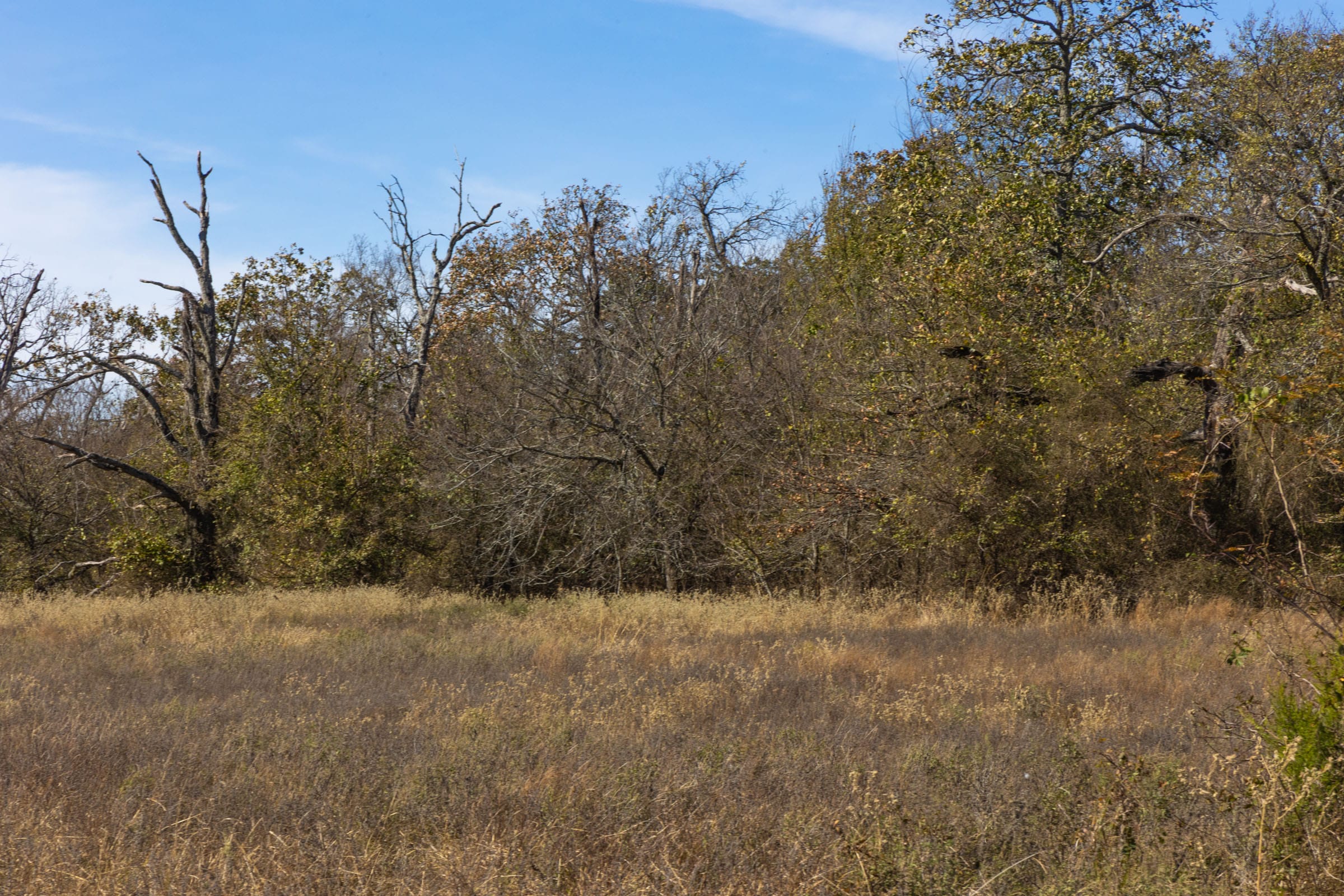 Harmony Hills Tract 36 photo 8