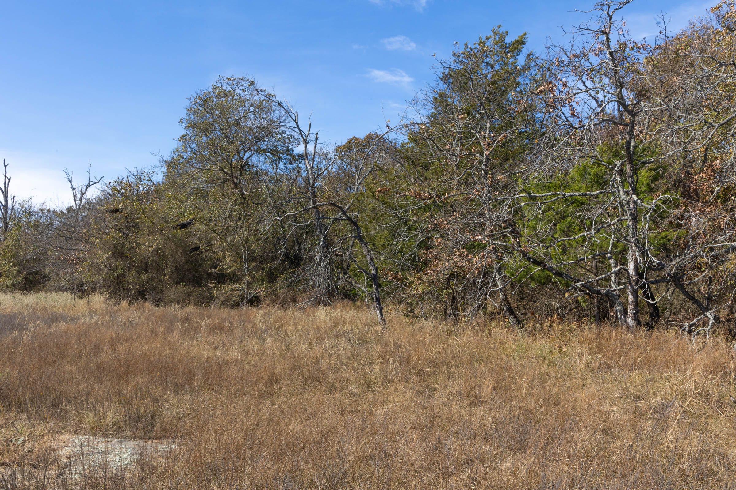 Harmony Hills Tract 36 photo 9