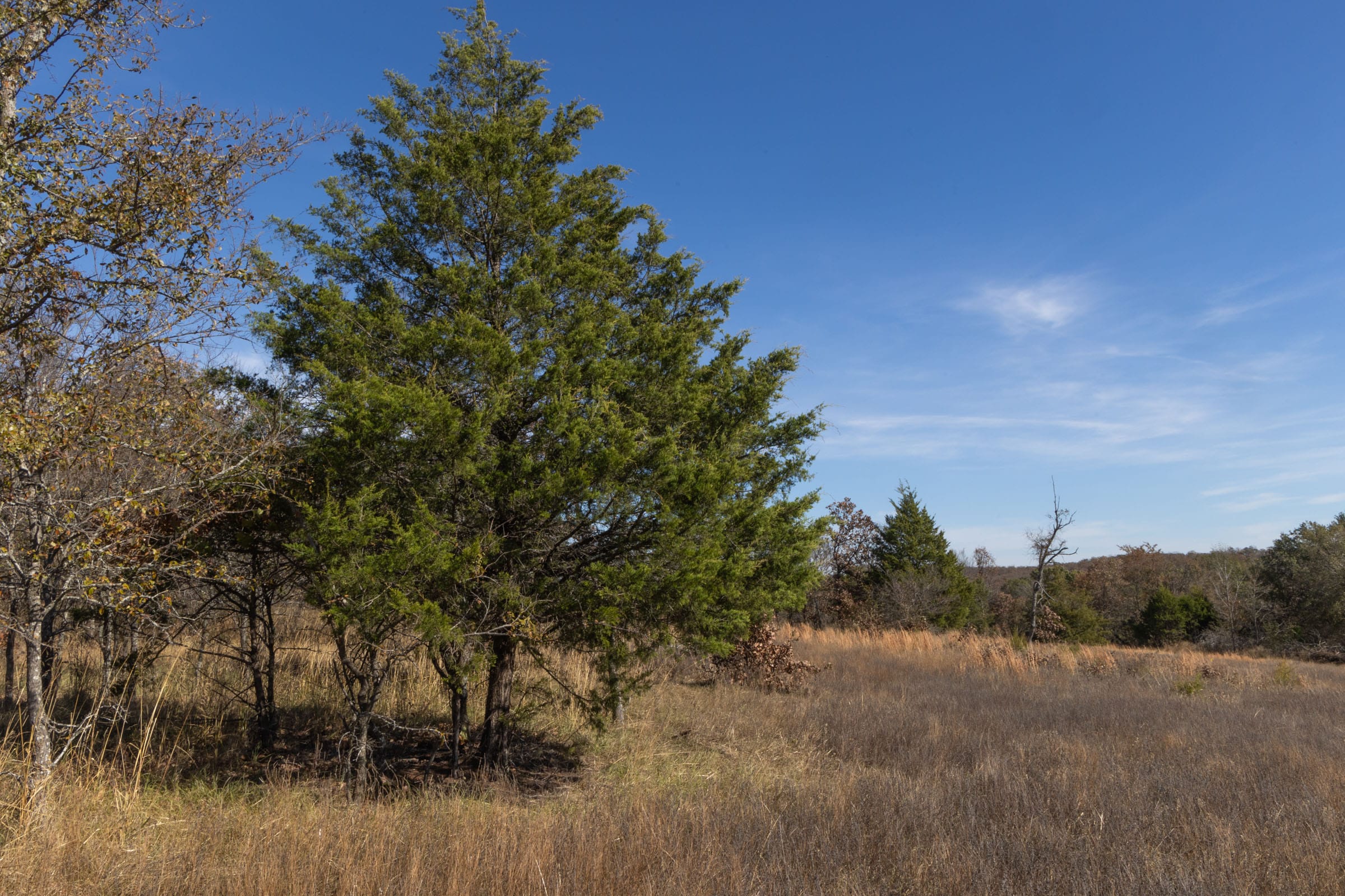 Harmony Hills Tract 36 photo 3