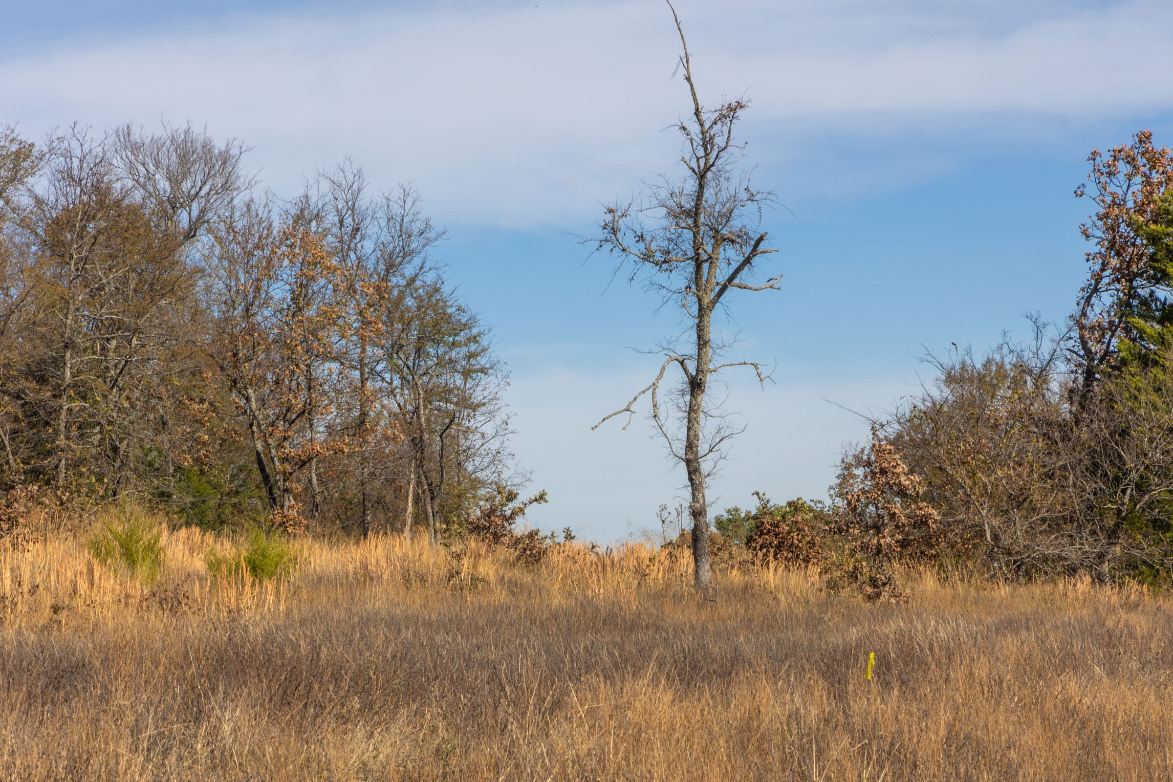 Harmony Hills Tract 36 photo 5