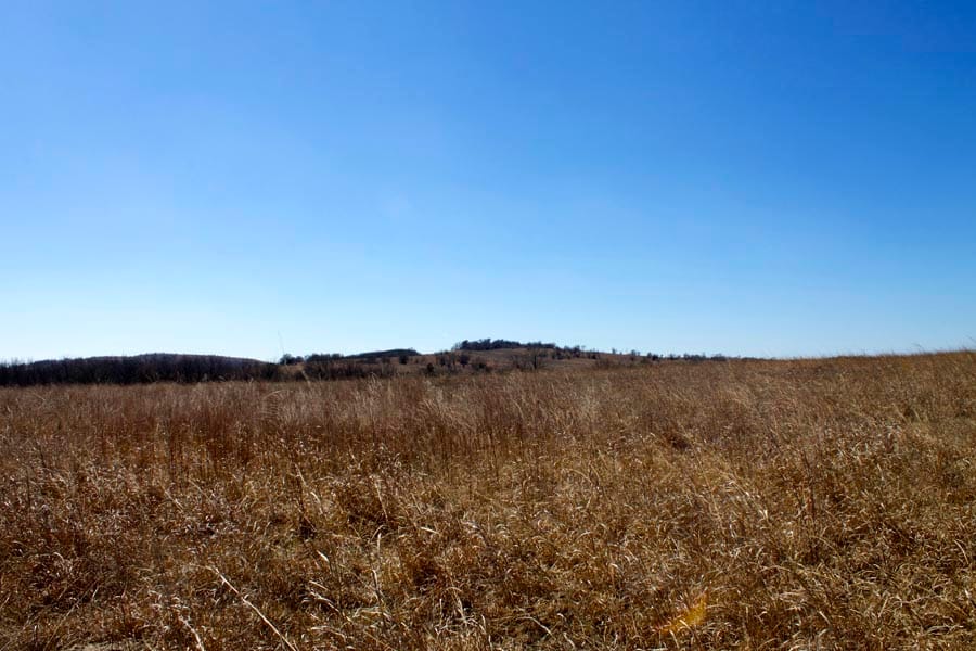 Cowboy Meadows Tract 11 photo 4