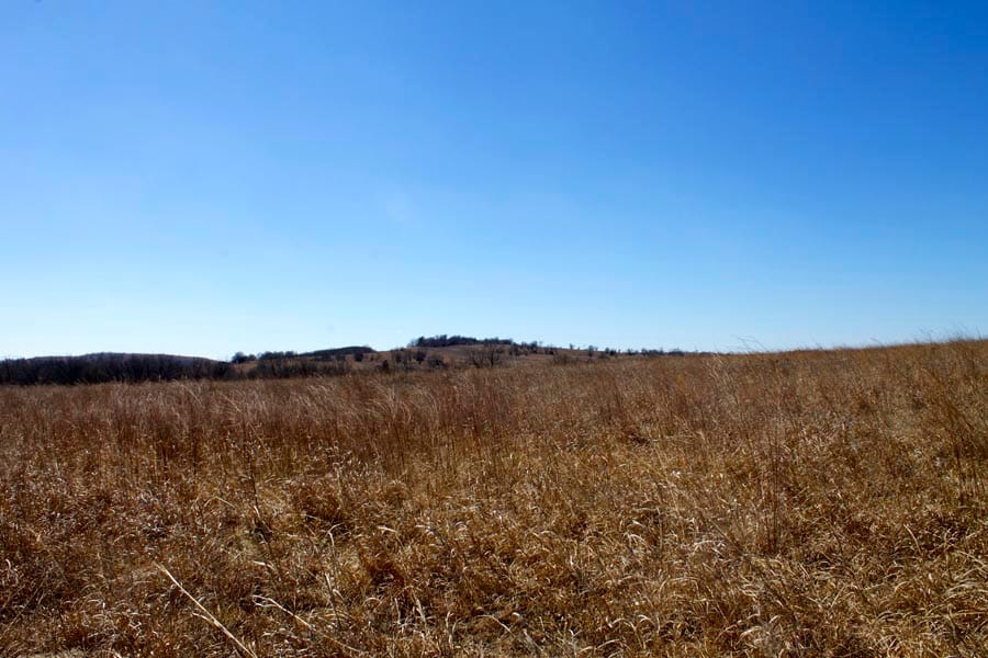Cowboy Meadows Tract 11 photo 5