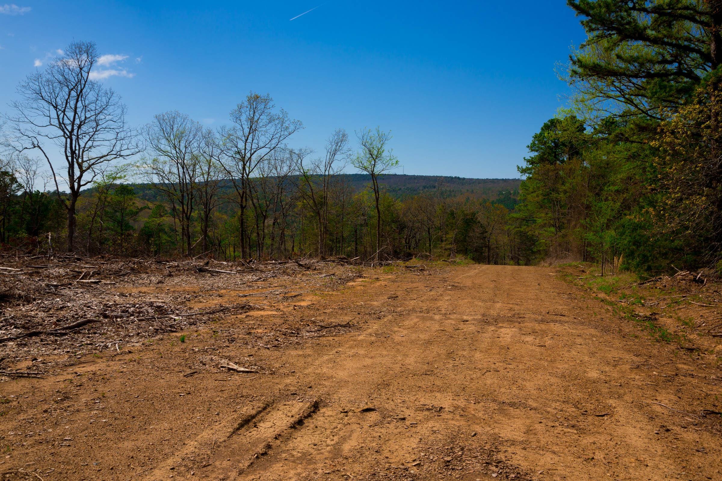 Stone Creek Phase II Tract 254 photo 2