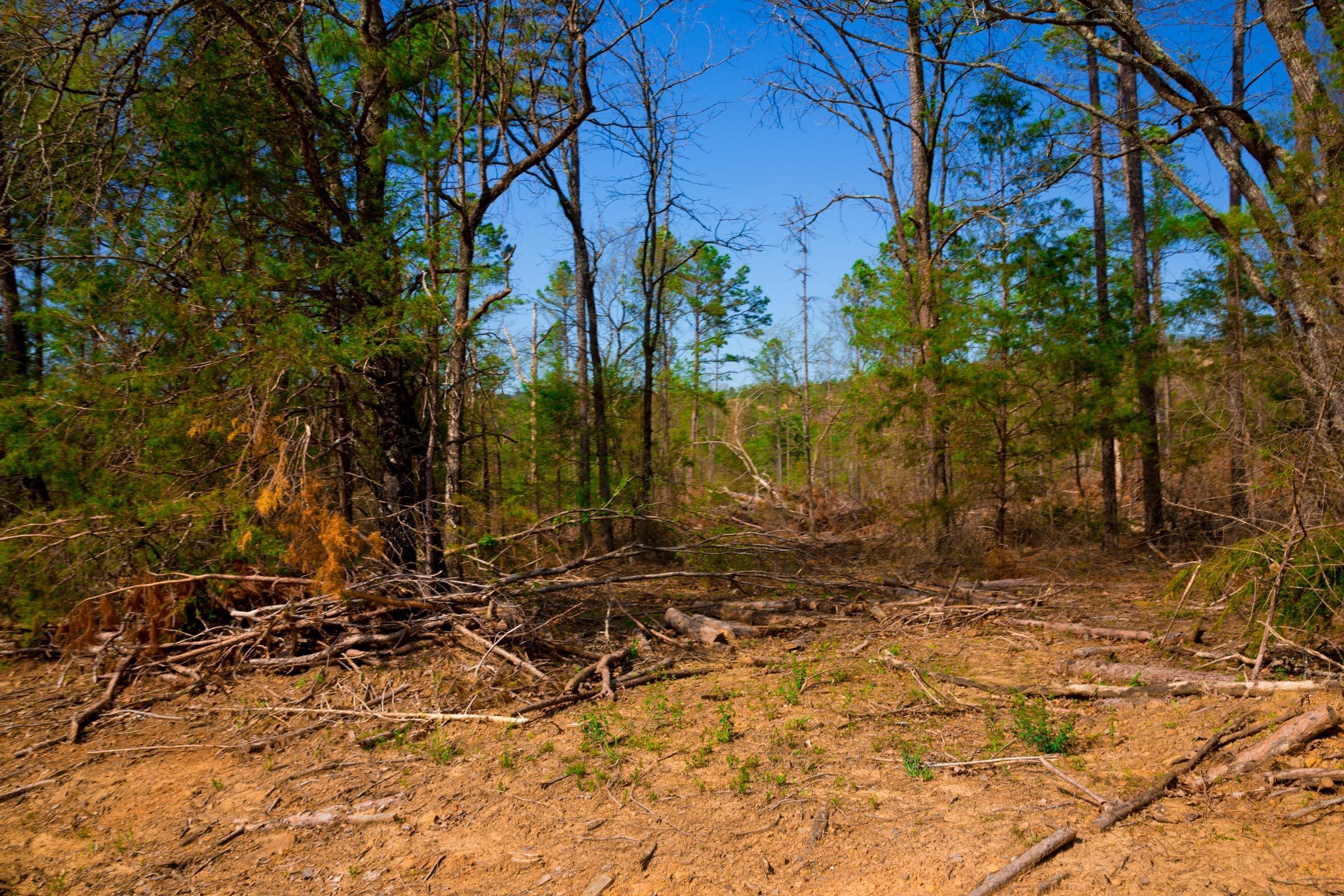 Stone Creek Phase II Tract 254 photo 5