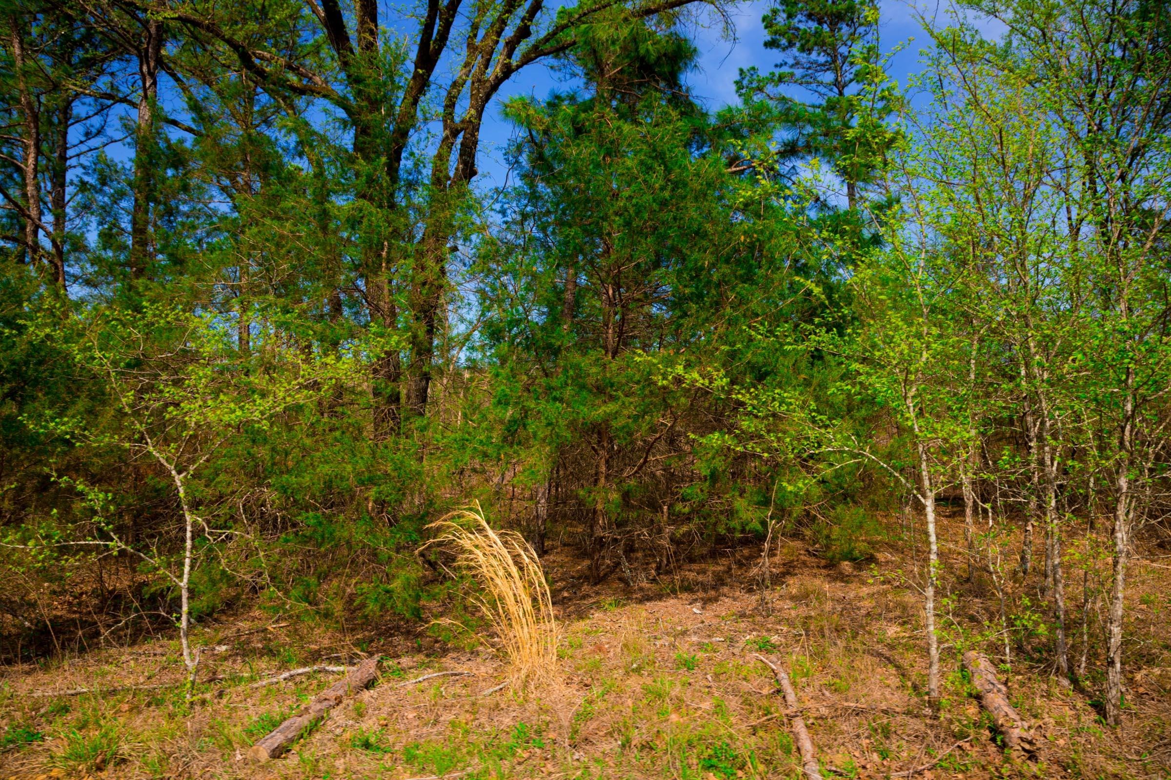 Stone Creek Phase II Tract 254 photo 6