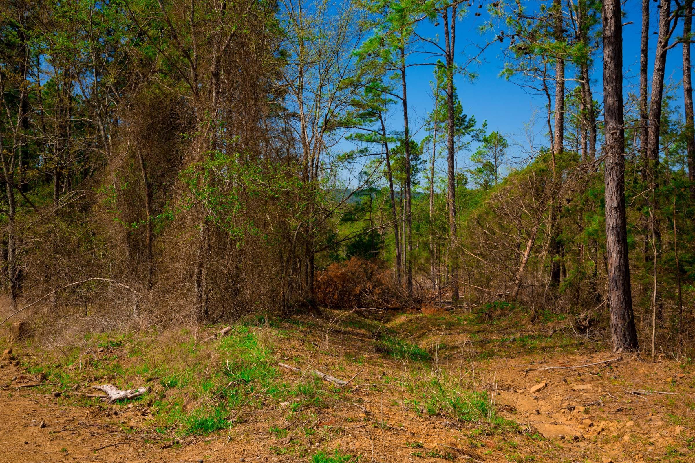 Stone Creek Phase II Tract 254 photo 8