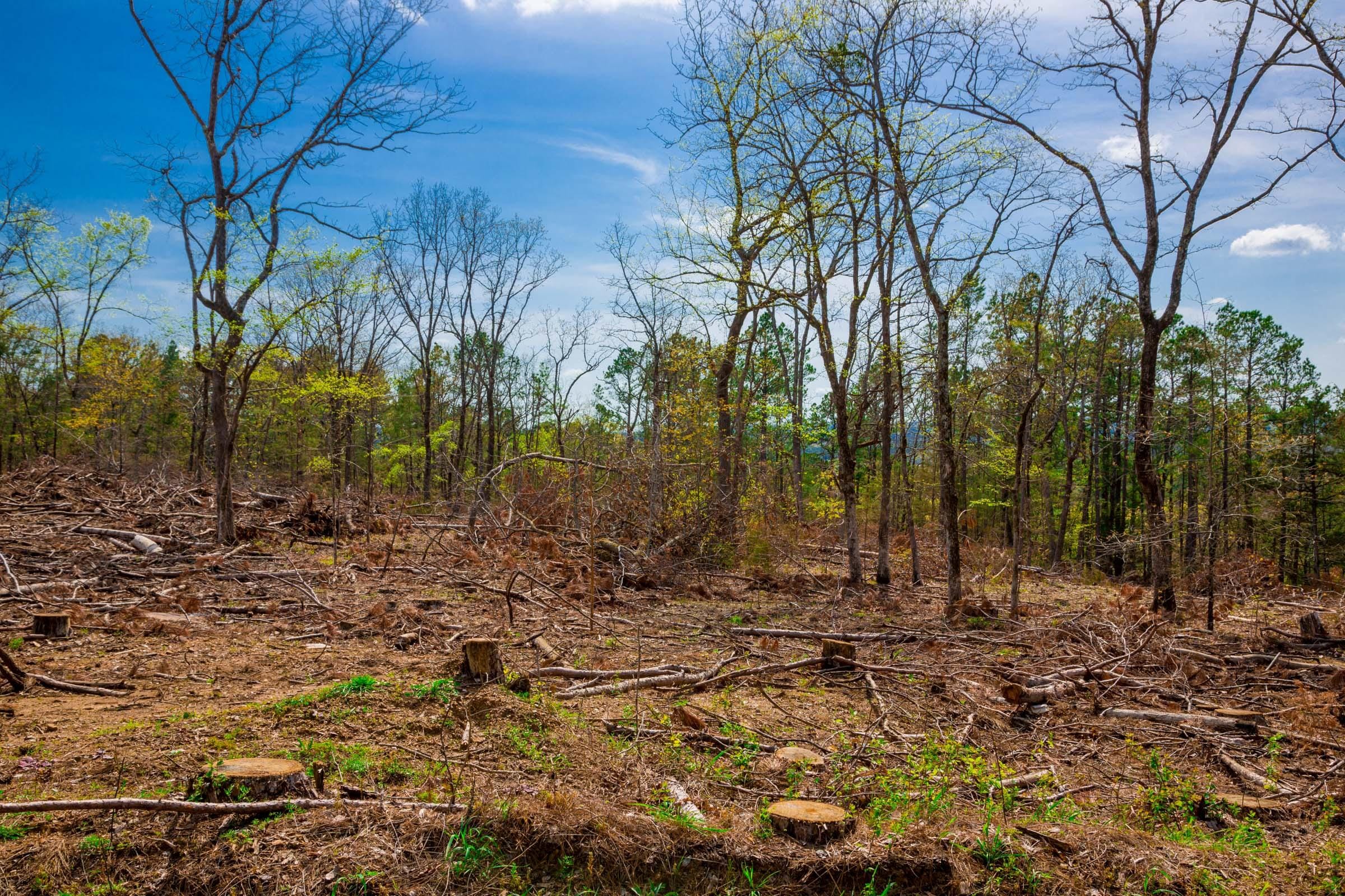 Stone Creek Phase II Tract 254 photo 9