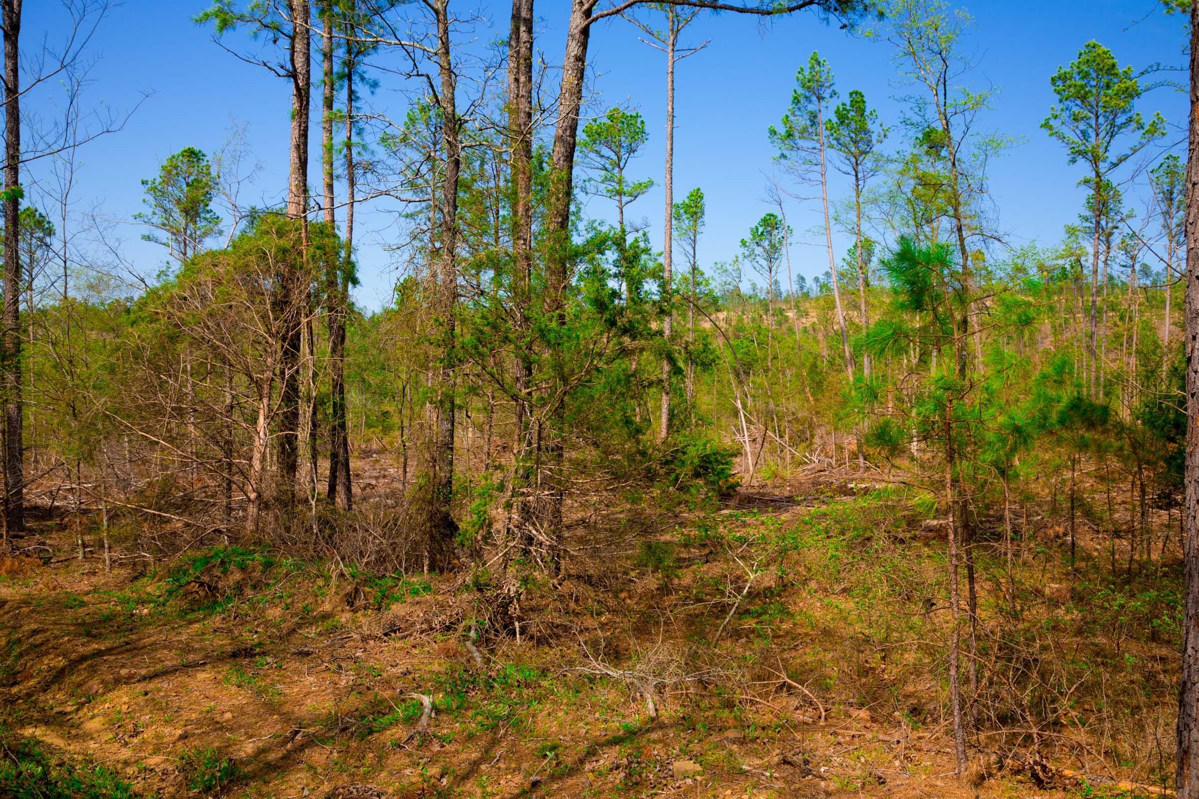 Stone Creek Phase II Tract 254 photo 10