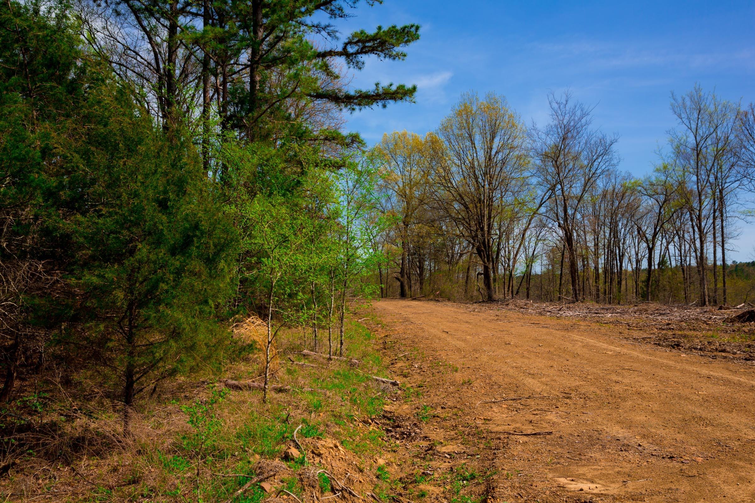 Stone Creek Phase II Tract 254 photo 7