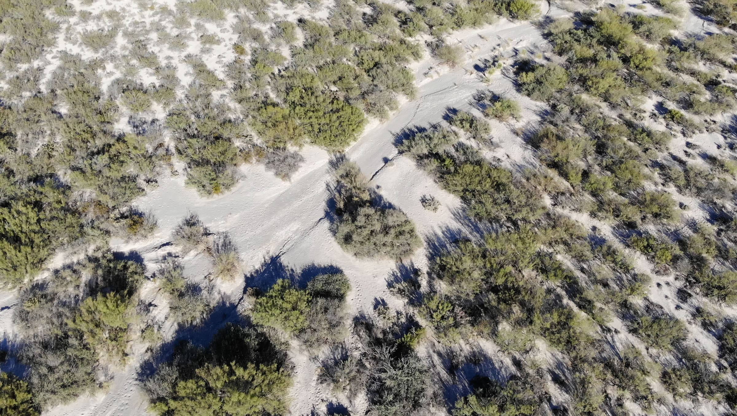 Vista Linda Canyon Tract 24 photo 9
