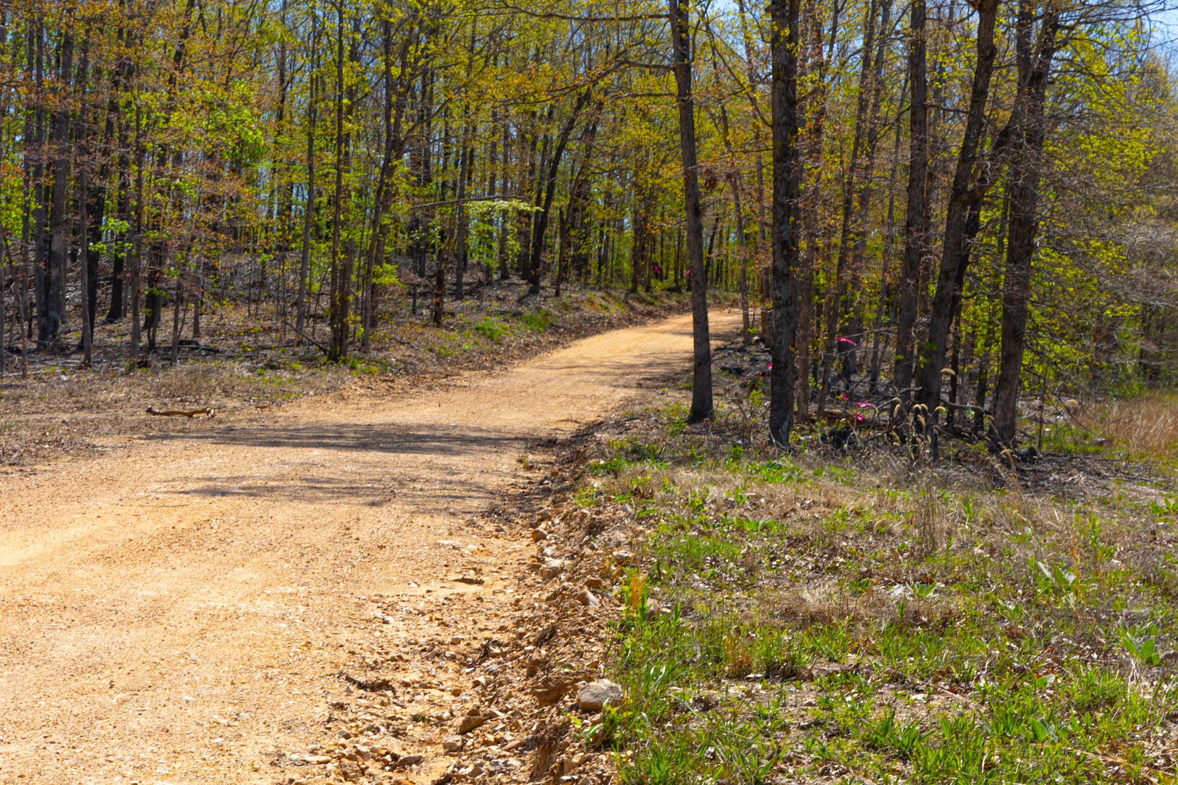 Lazybrook Tract 2 photo 3