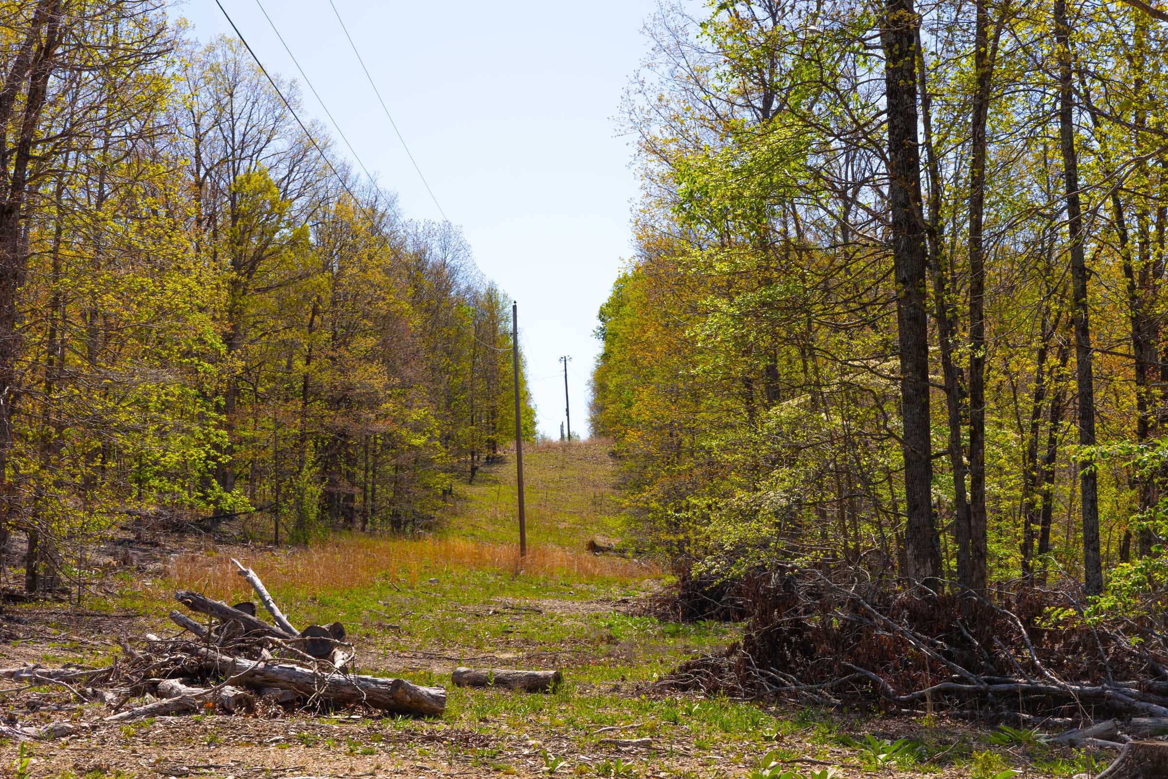 Lazybrook Tract 3 photo 2