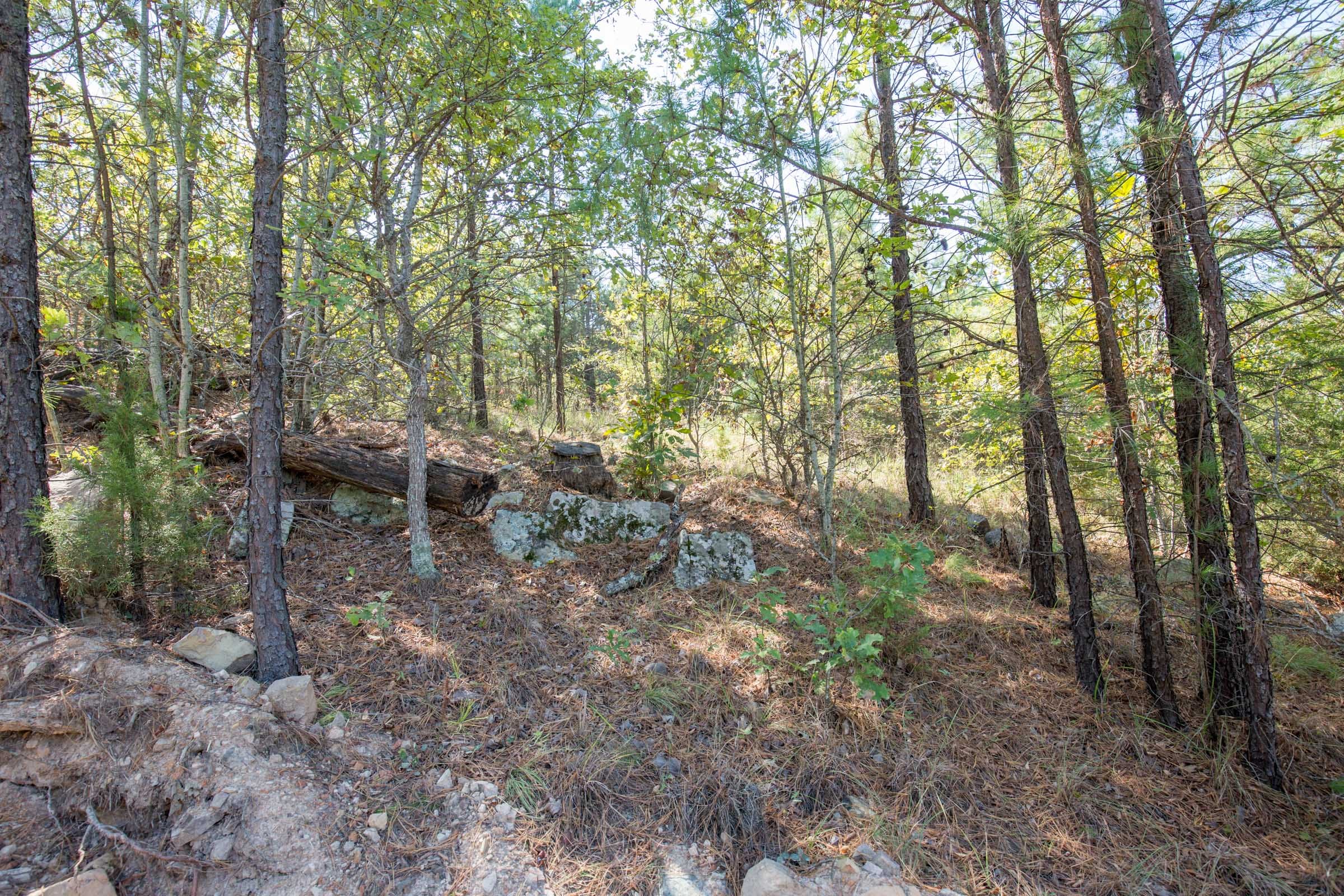 Stone Bridge Phase I Tract 72 photo 3