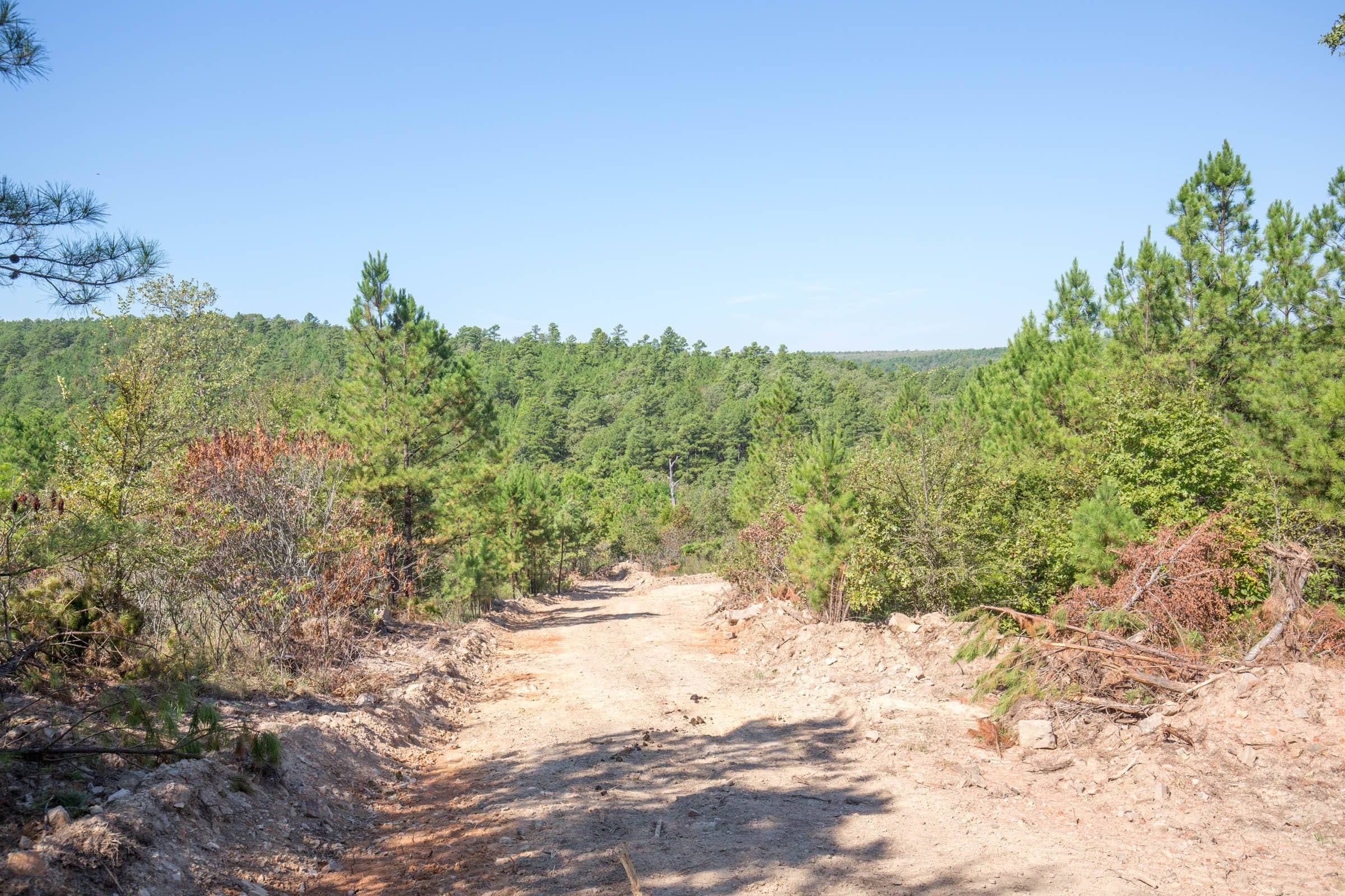 Stone Bridge Phase I Tract 72 photo 4