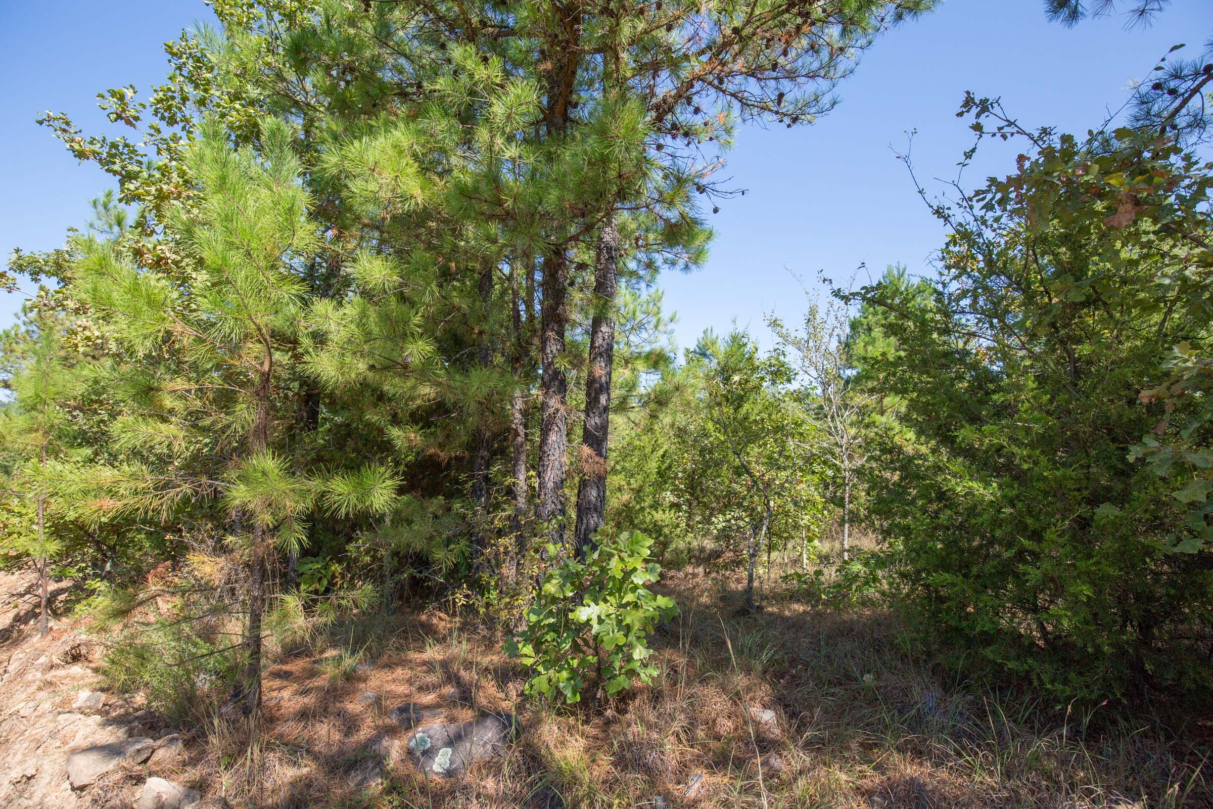 Stone Bridge Phase I Tract 72 photo 7