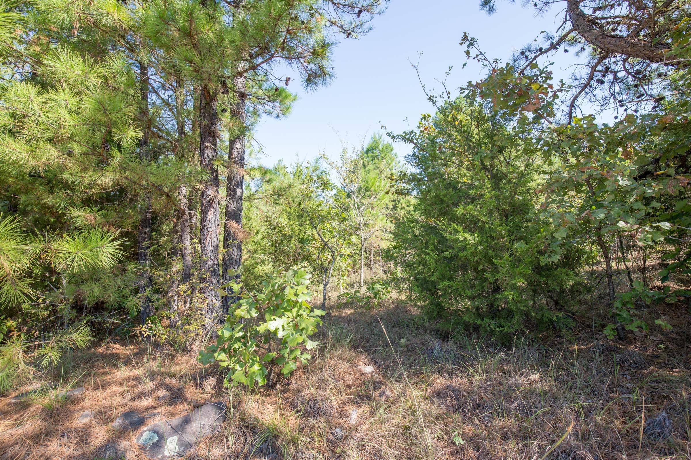 Stone Bridge Phase I Tract 72 photo 8