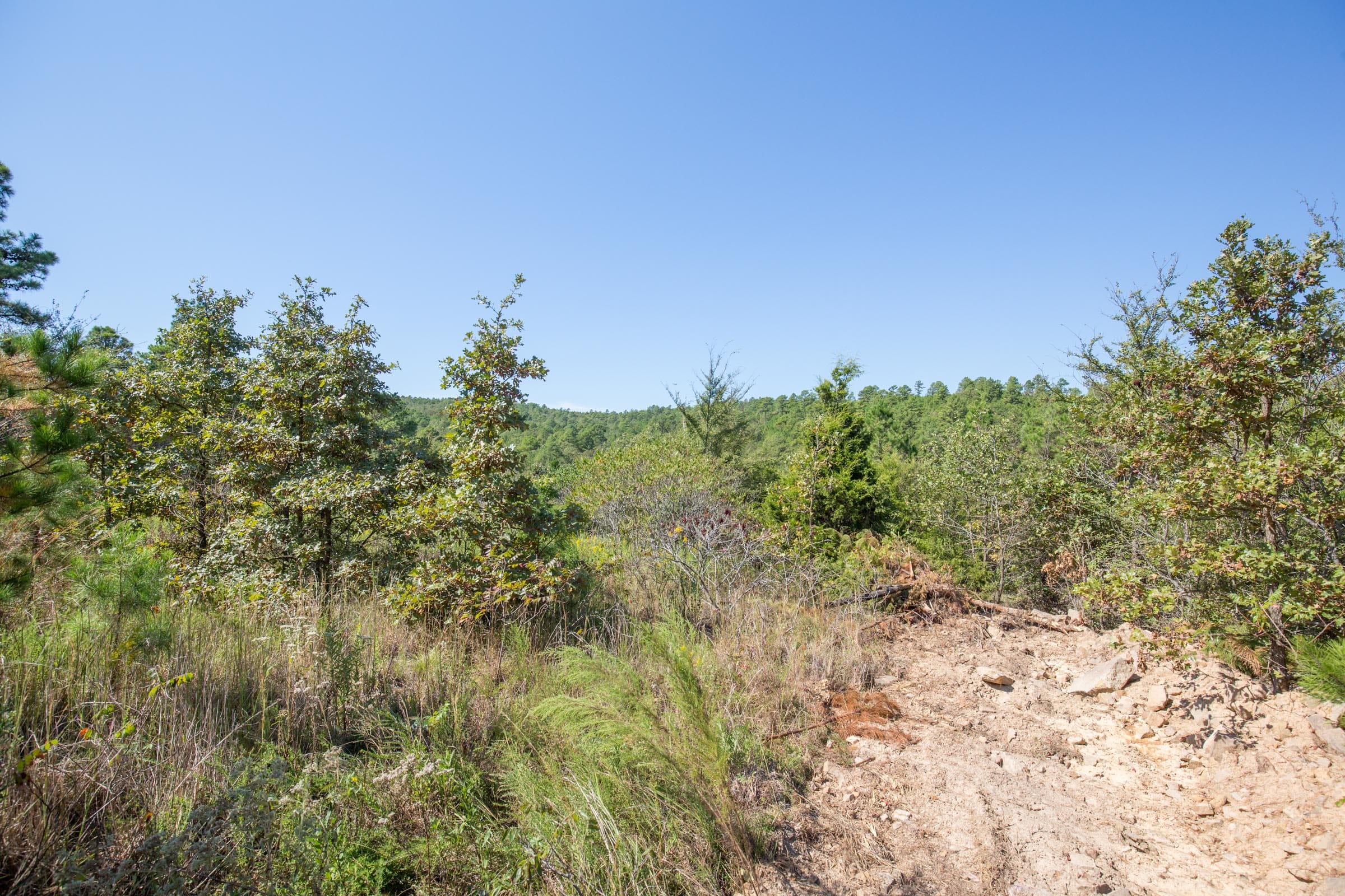 Stone Bridge Phase I Tract 72 photo 9
