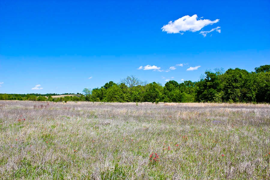 Saddlebrook Ranch Tract 39 photo 1