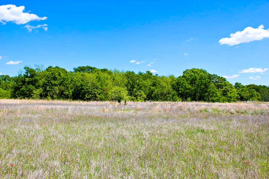Saddlebrook Ranch Tract 39 photo 2