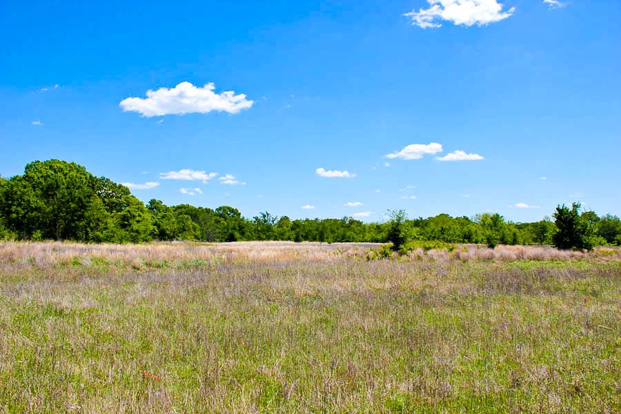 Saddlebrook Ranch Tract 39 photo 3