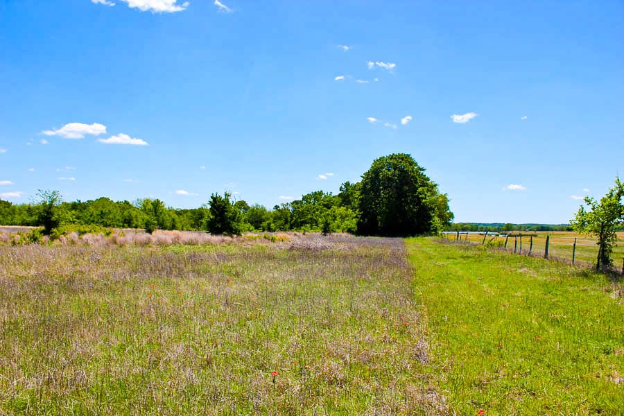 Saddlebrook Ranch Tract 39 photo 4