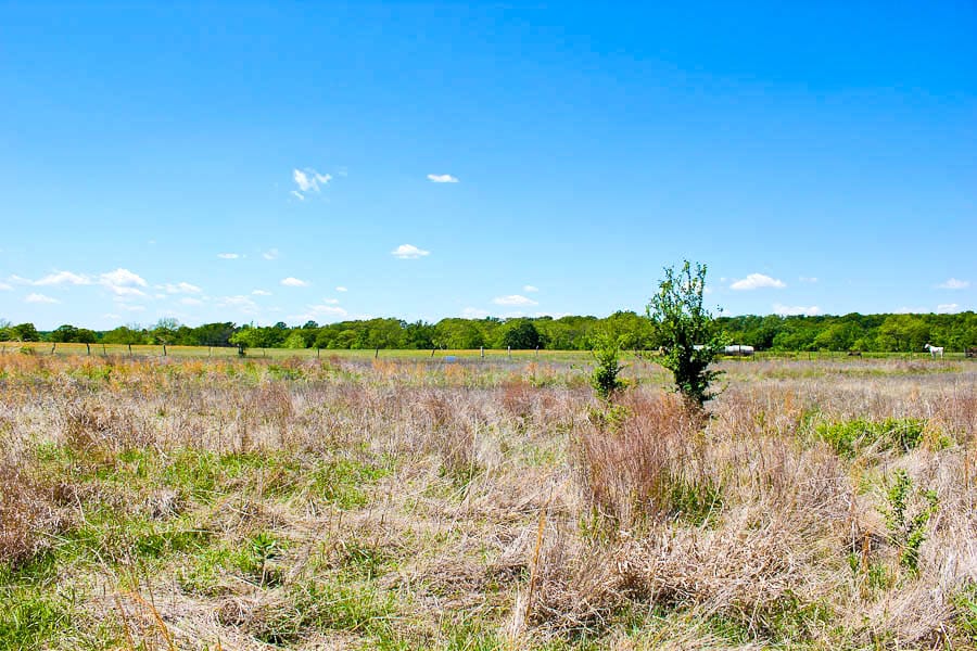 Saddlebrook Ranch Tract 39 photo 6