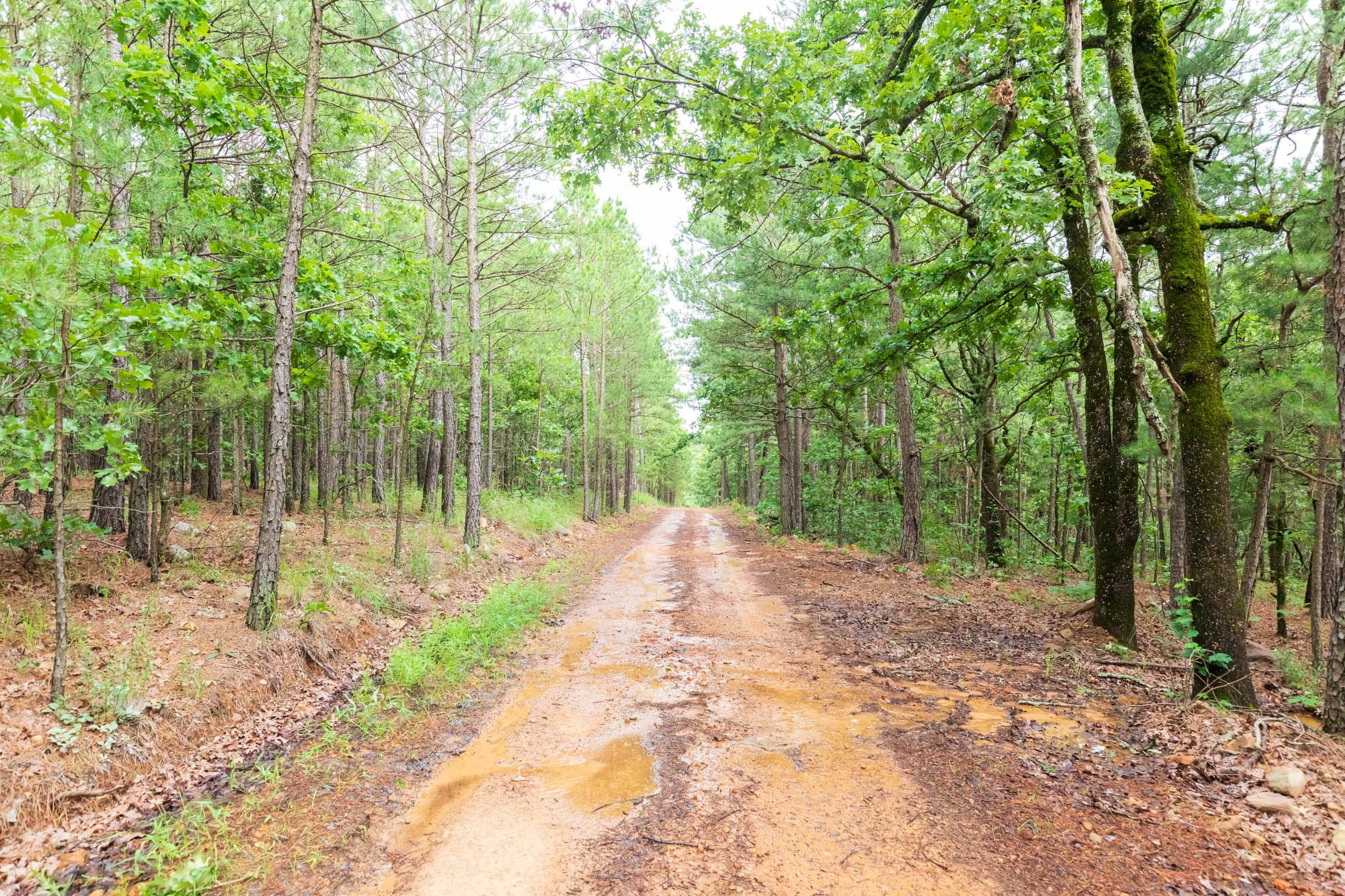 Stone Bridge Phase VI Tract 438 photo 1