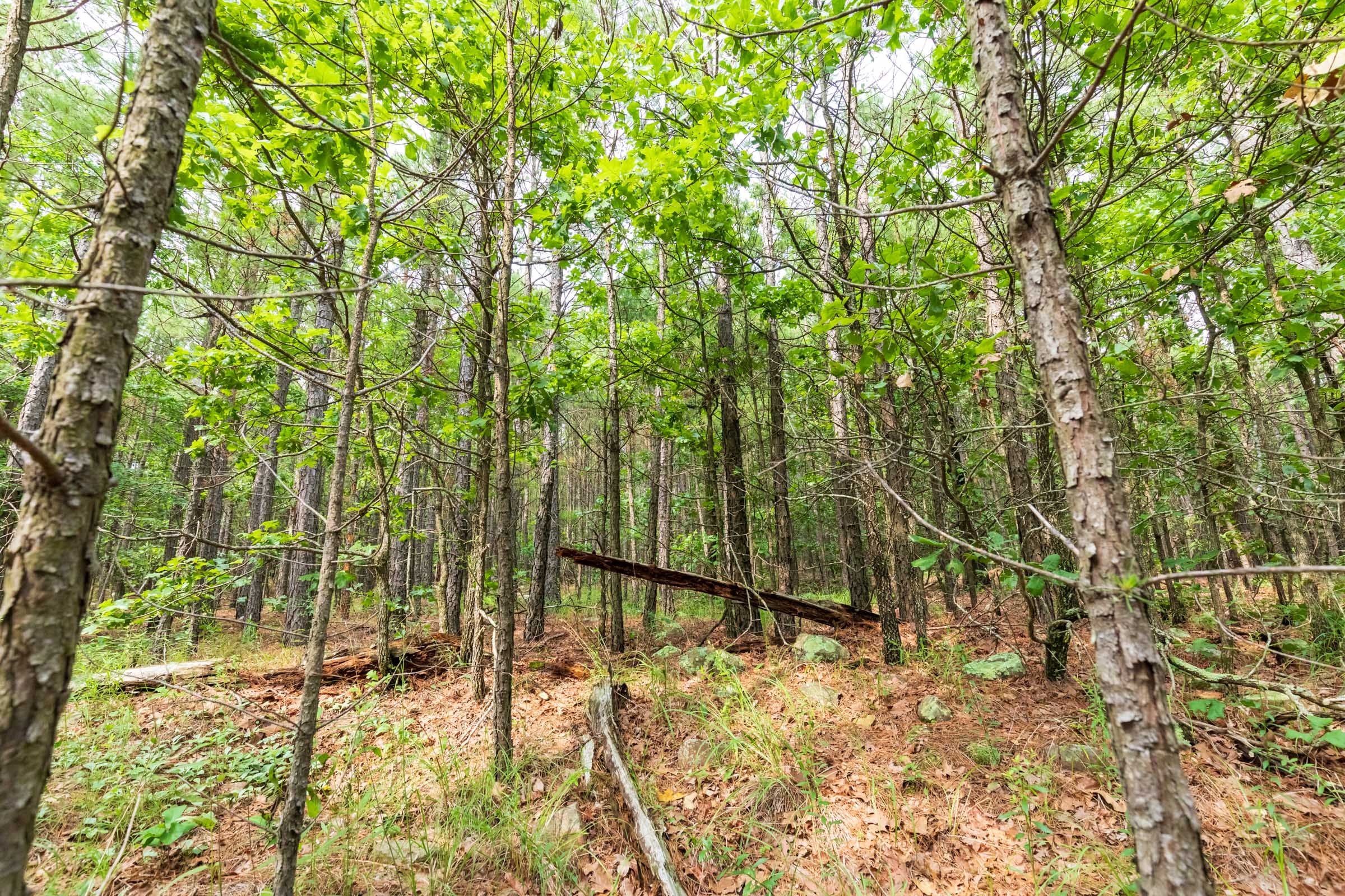 Stone Bridge Phase VI Tract 438 photo 2