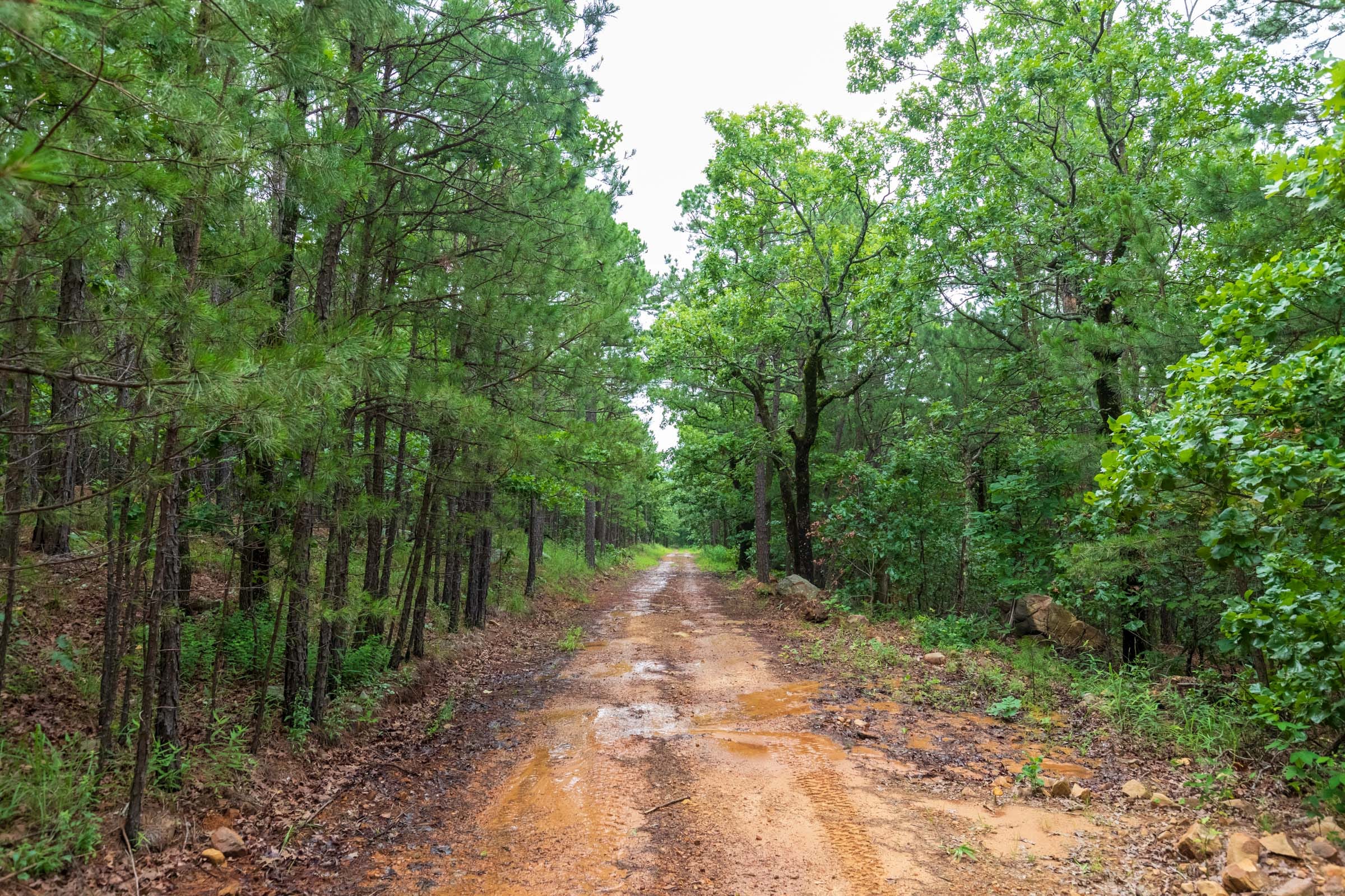 Stone Bridge Phase VI Tract 438 photo 6