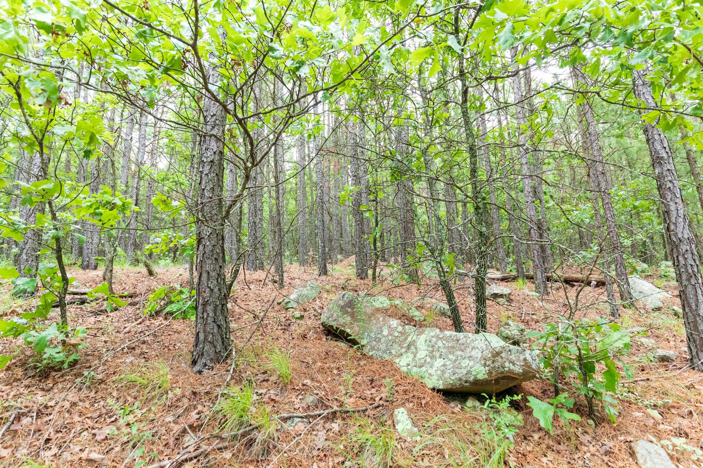 Stone Bridge Phase VI Tract 438 photo 7