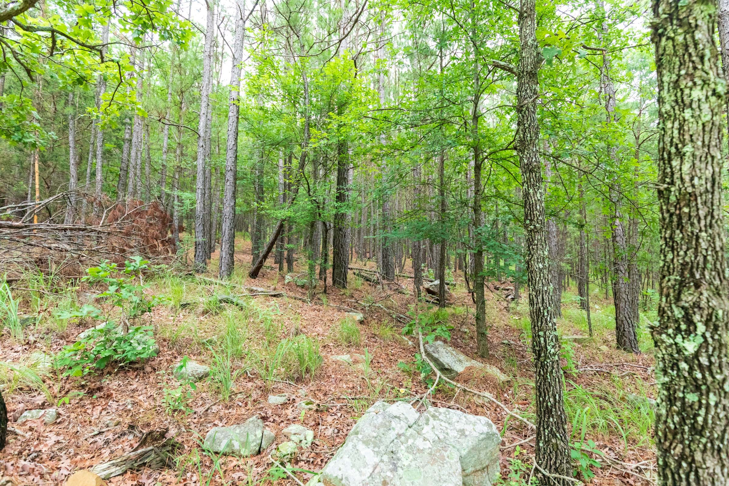 Stone Bridge Phase VI Tract 438 photo 10