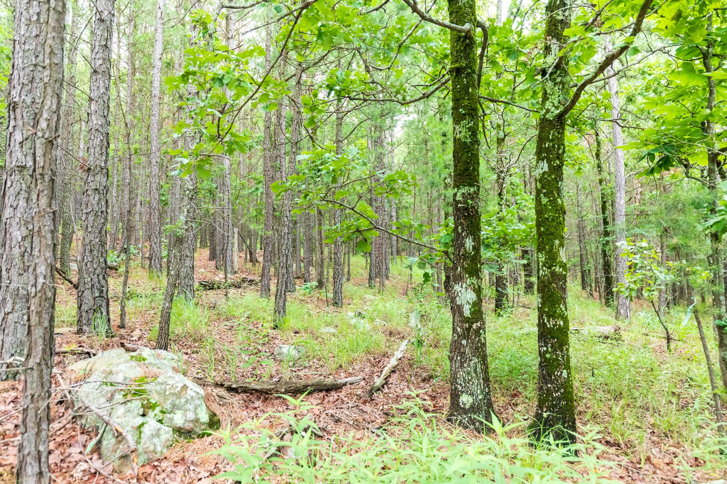Stone Bridge Phase VI Tract 438 photo 13